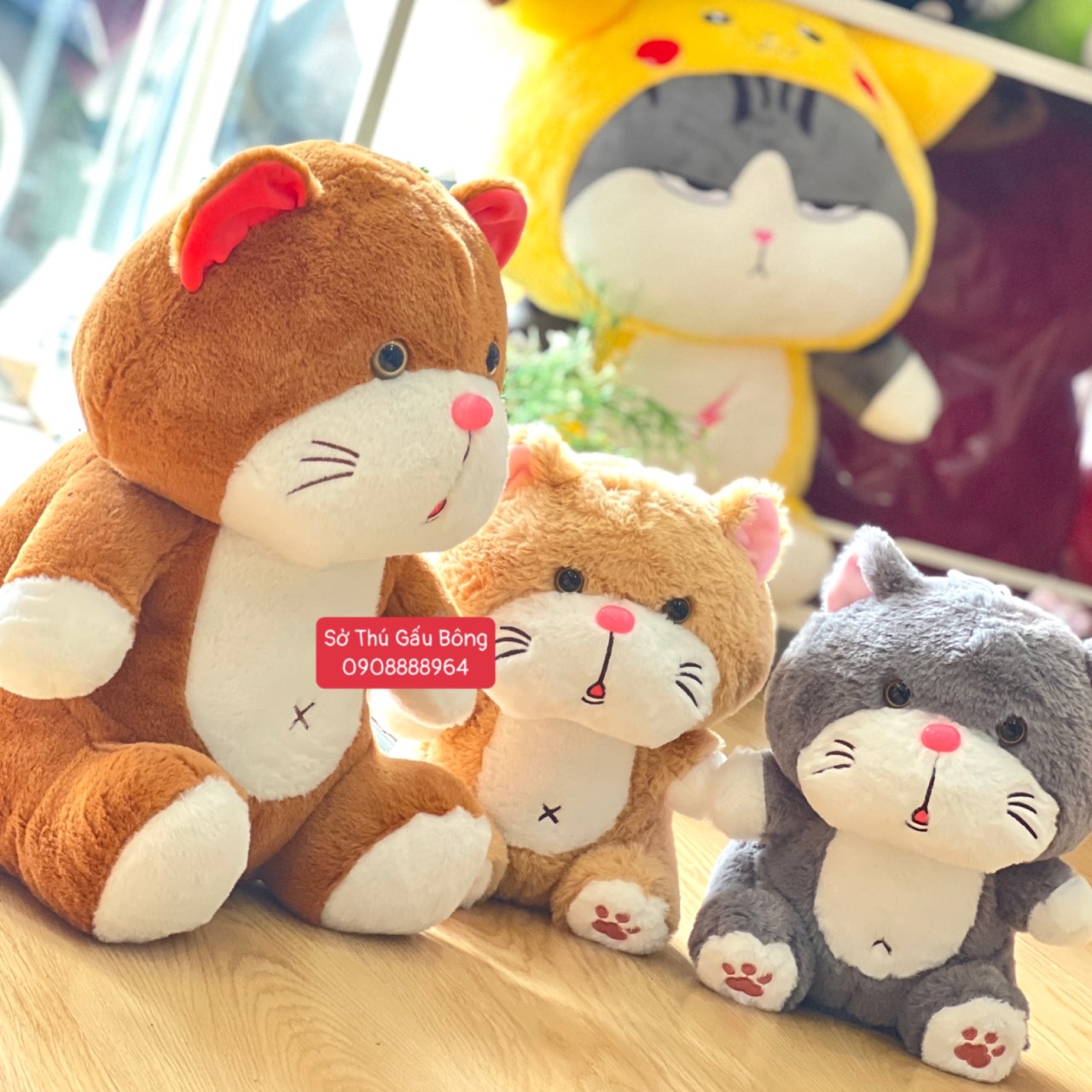 Mèo Bông Miệng Giọt Nước