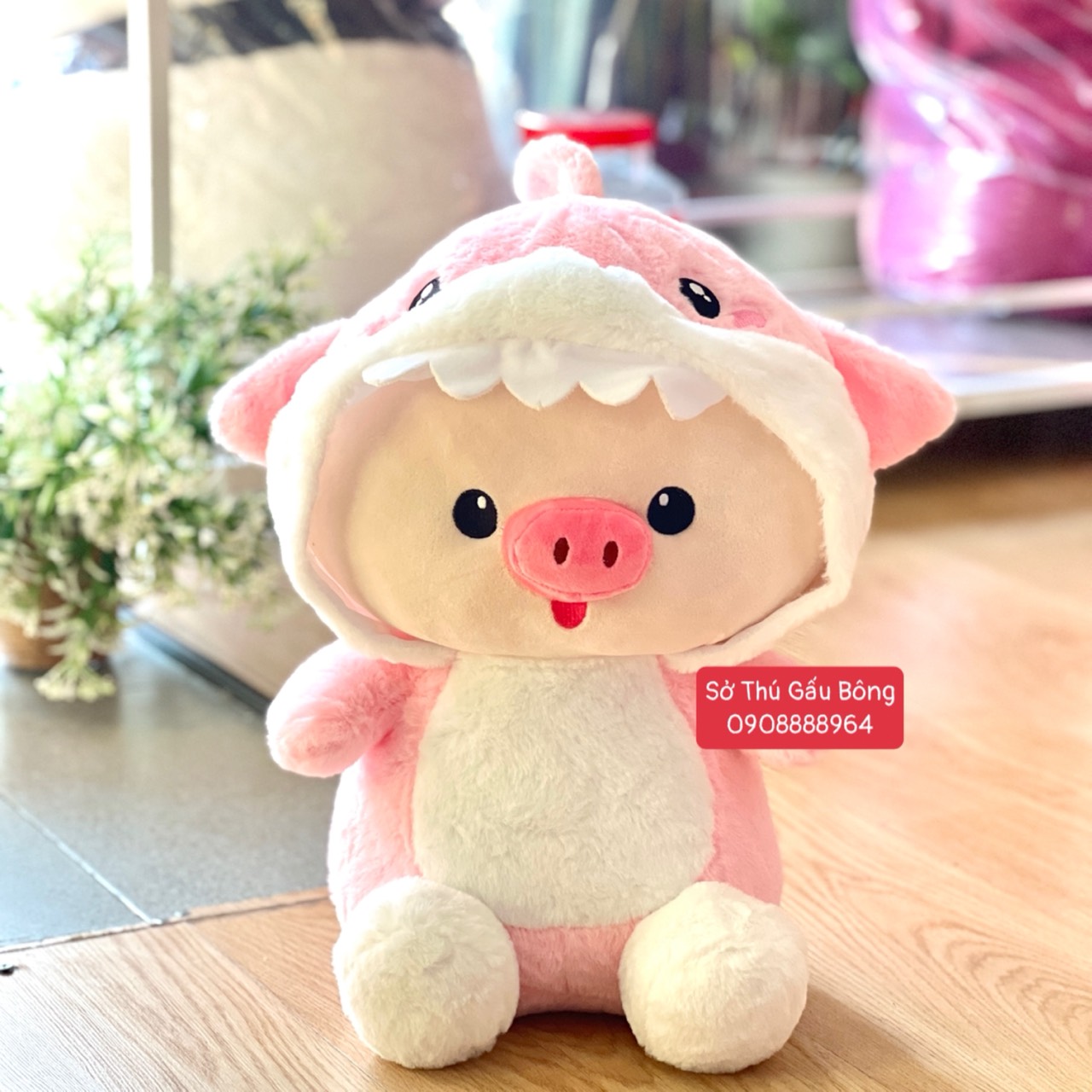 Heo Bông Cosplay Cá Mập