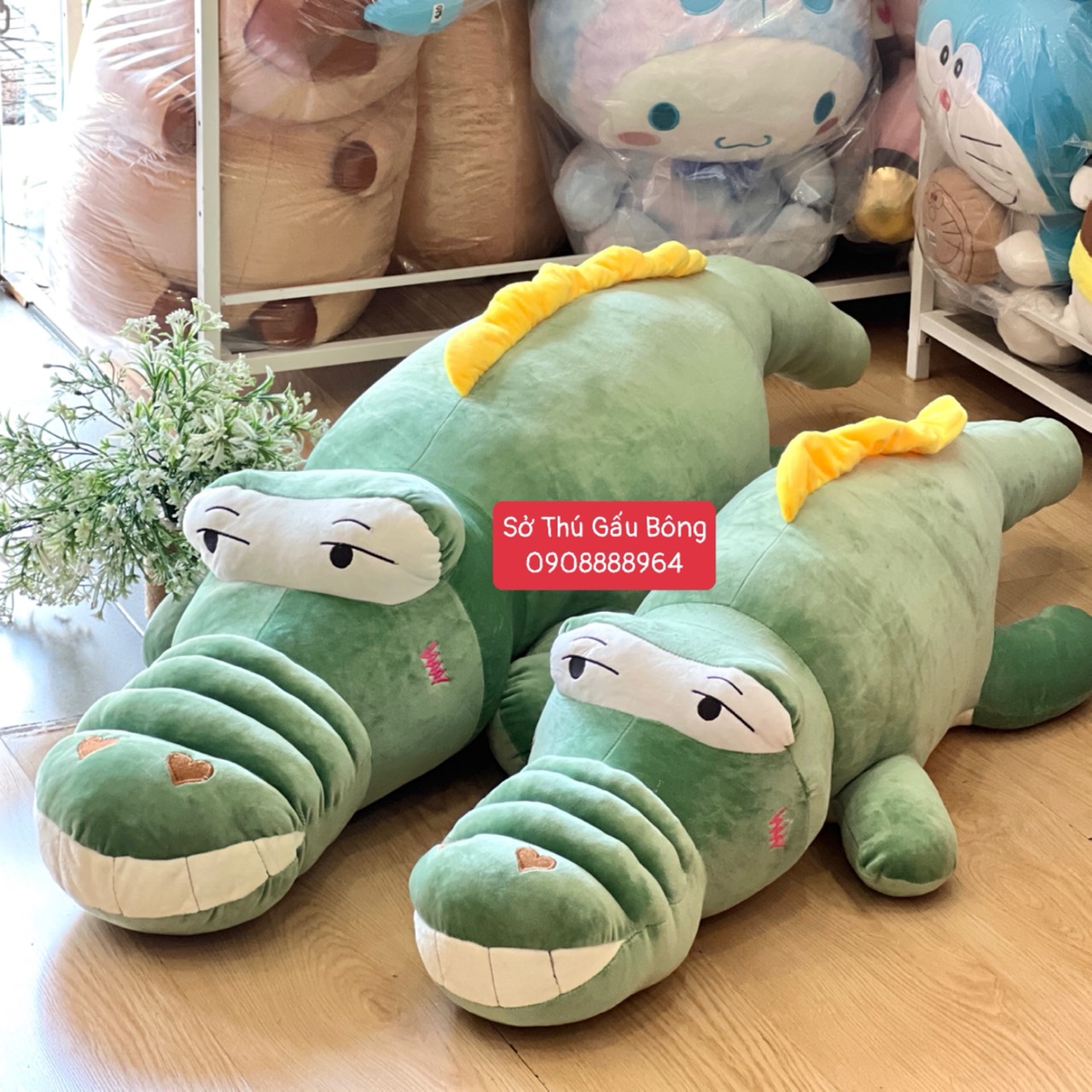 Cá Sấu Bông Mũi Tim