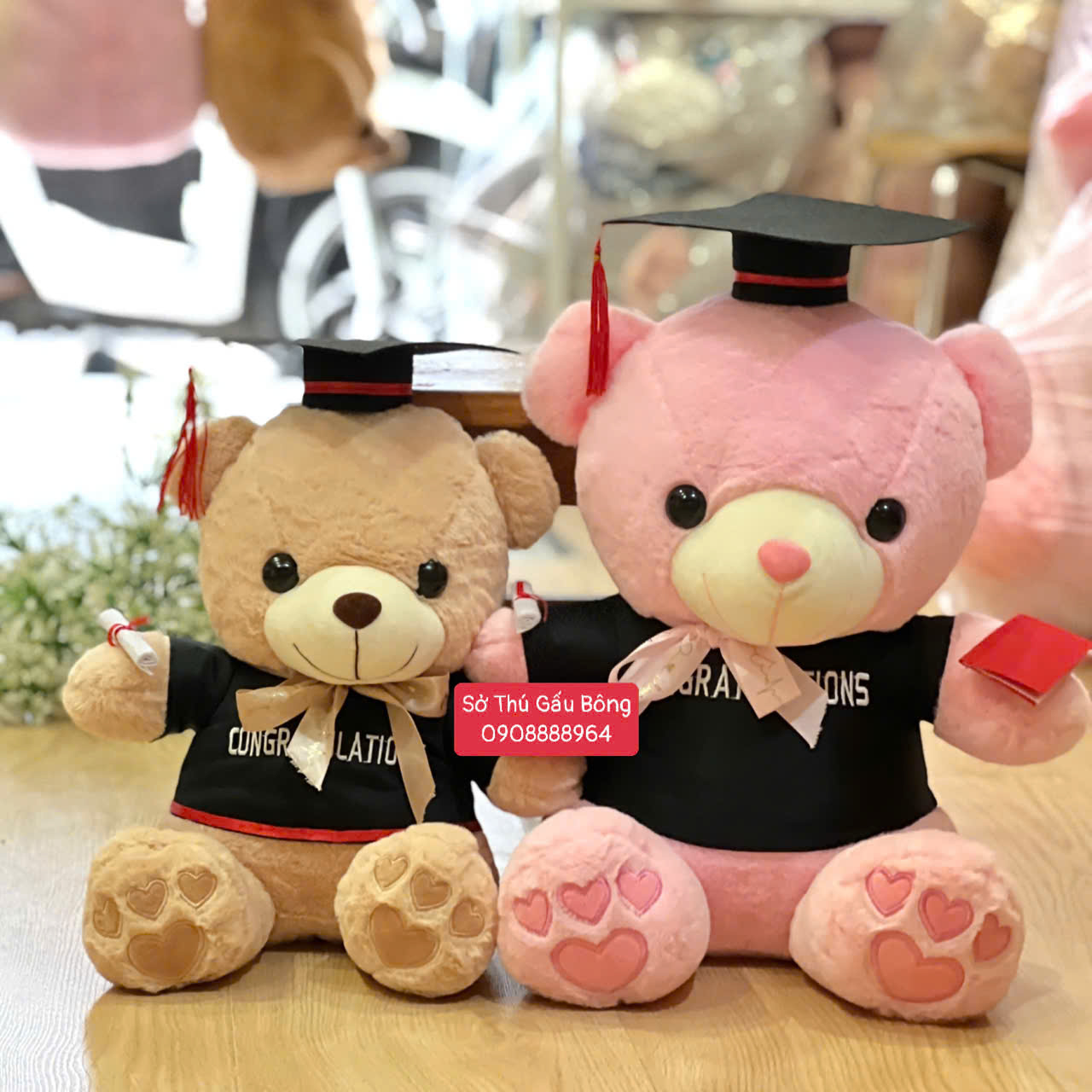 Gấu Tốt Nghiệp - Gấu Ngực 2 Tim