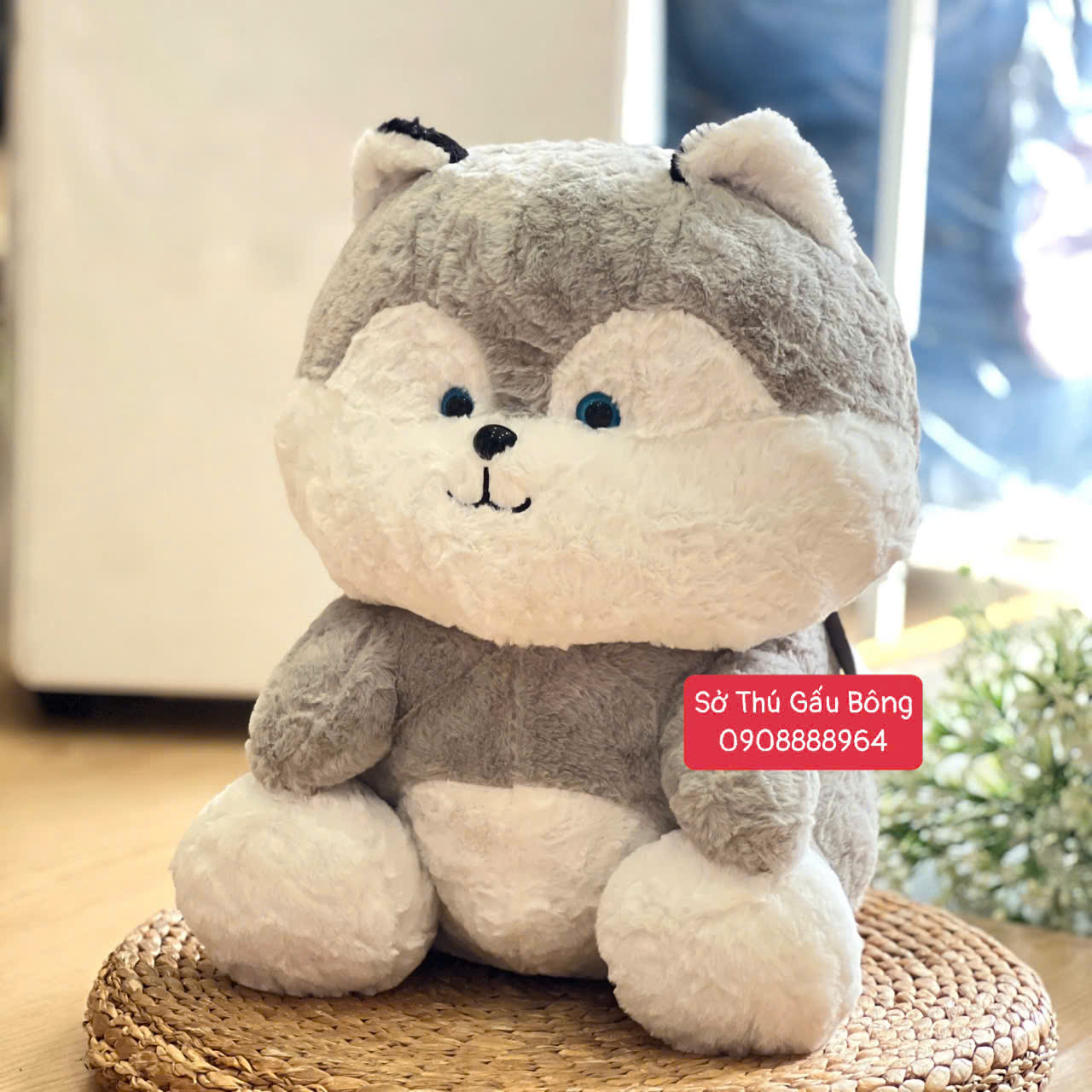 Chó Bông Canh Thiên Thần