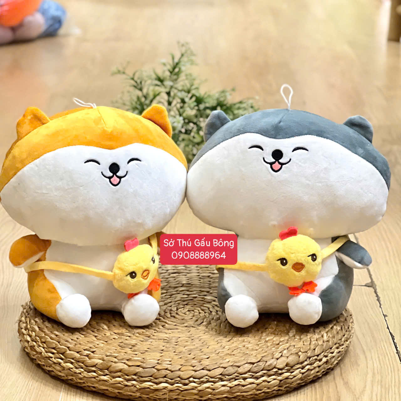 Chó Bông Shiba Túi Vịt