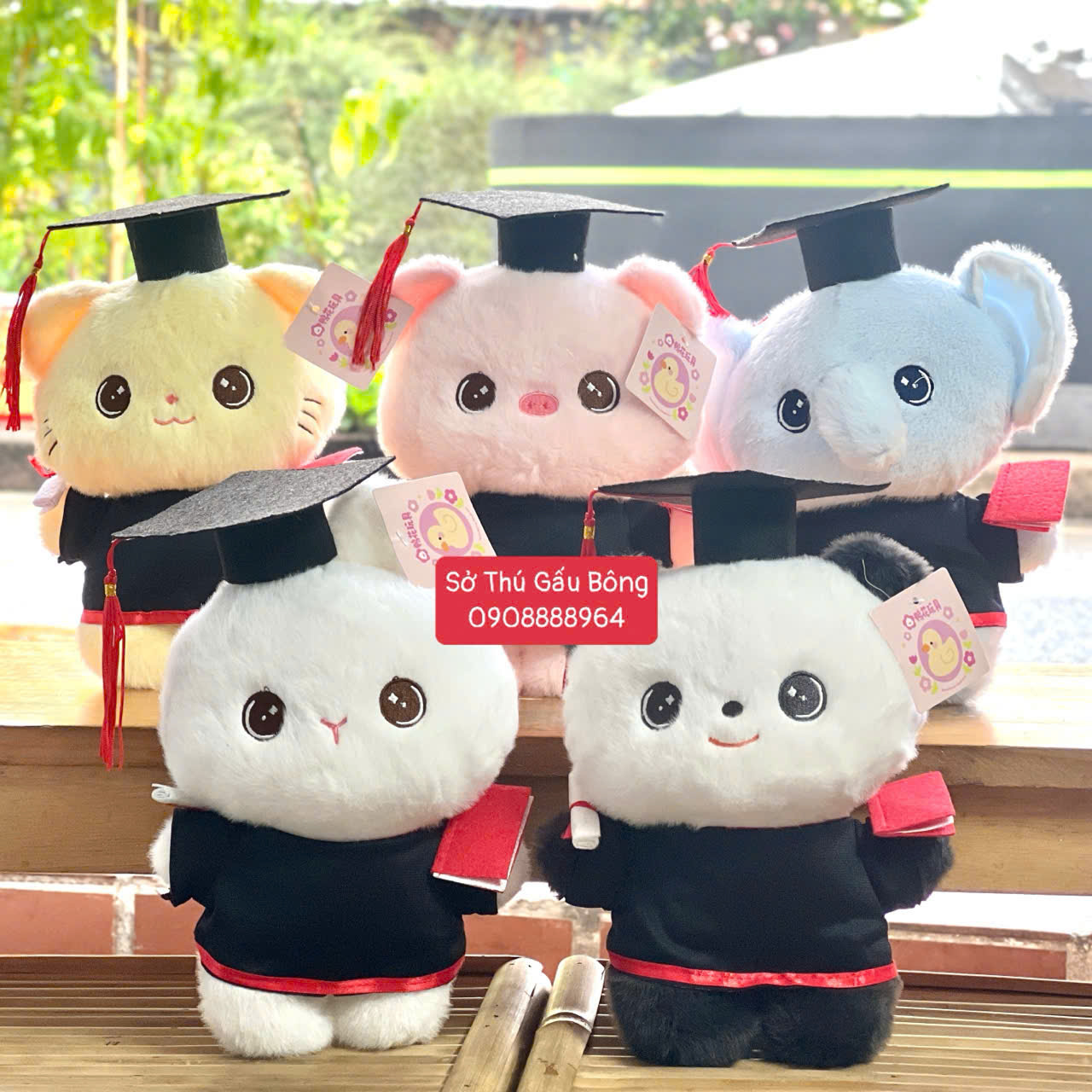 Gấu Tốt Nghiệp Nhỏ Các Loại