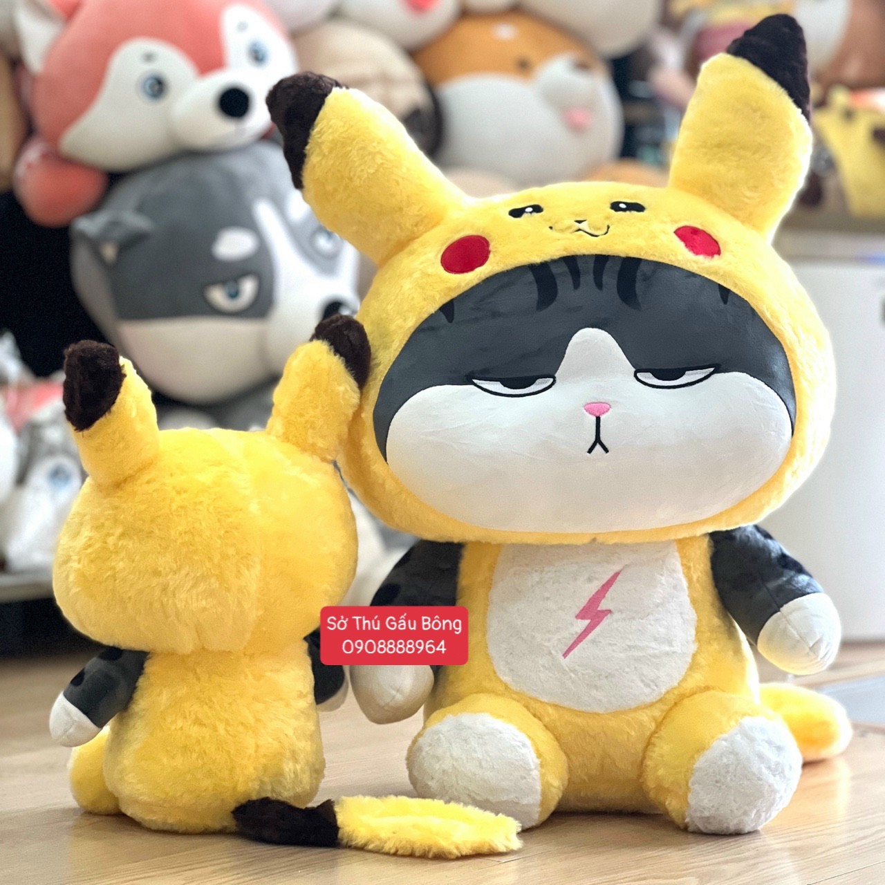 Mèo Hoàng Thượng Cosplay Pikachu