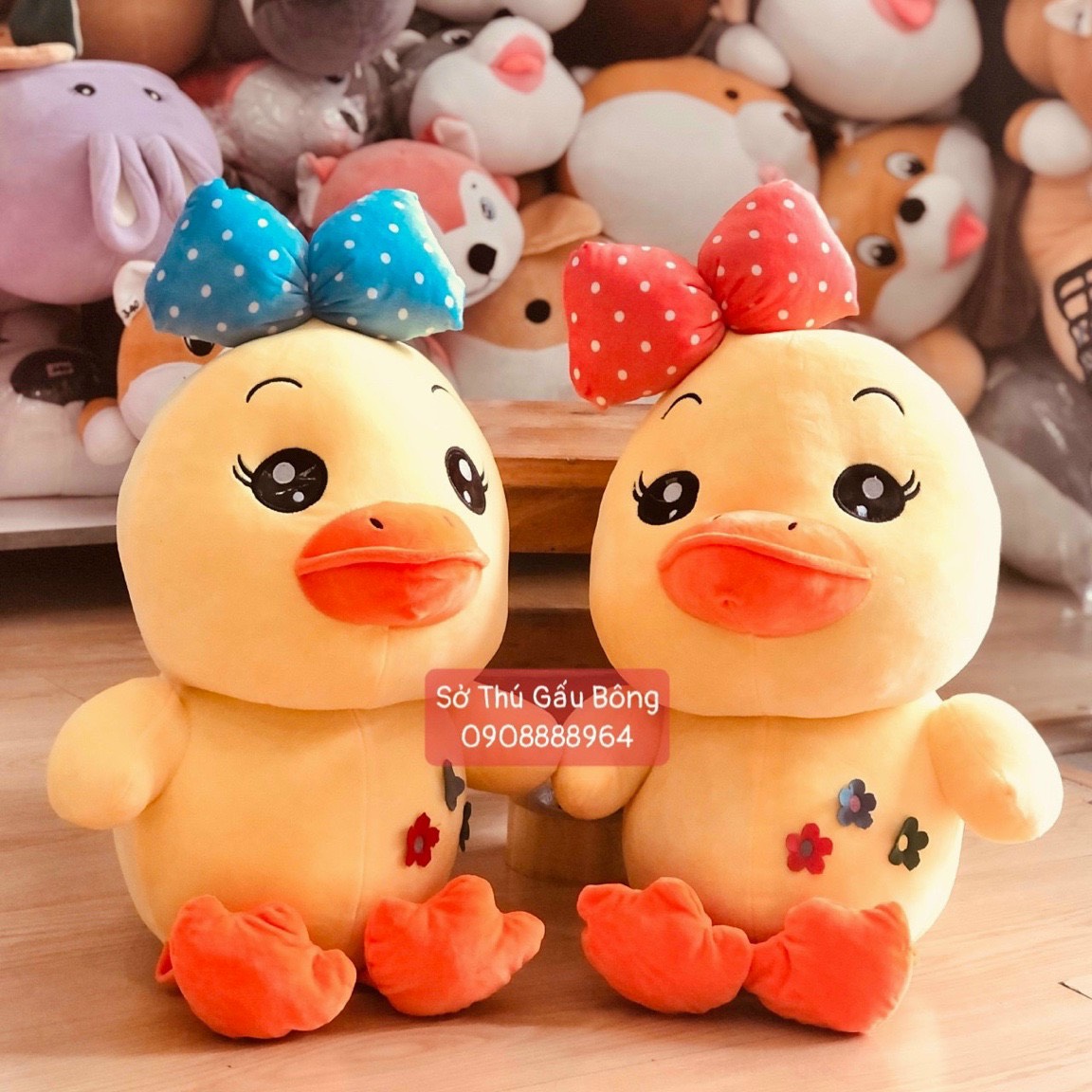 Vịt Bông Bụng Hoa Nơ Bi
