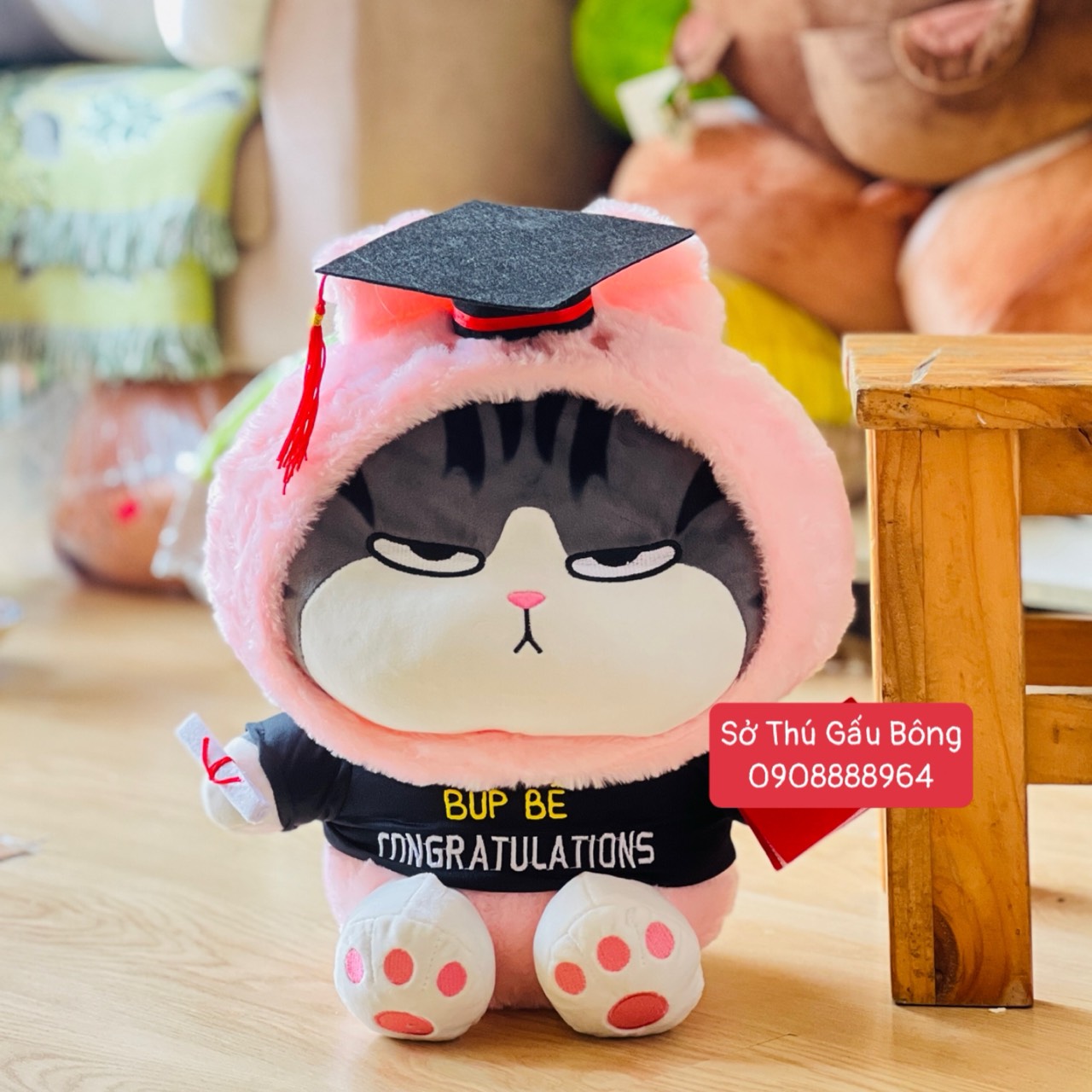 Gấu Tốt Nghiệp - Mèo Hoàng Thượng Thỏ