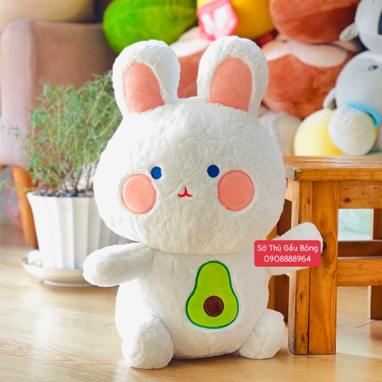 Thỏ Bông Trắng Bụng Bơ