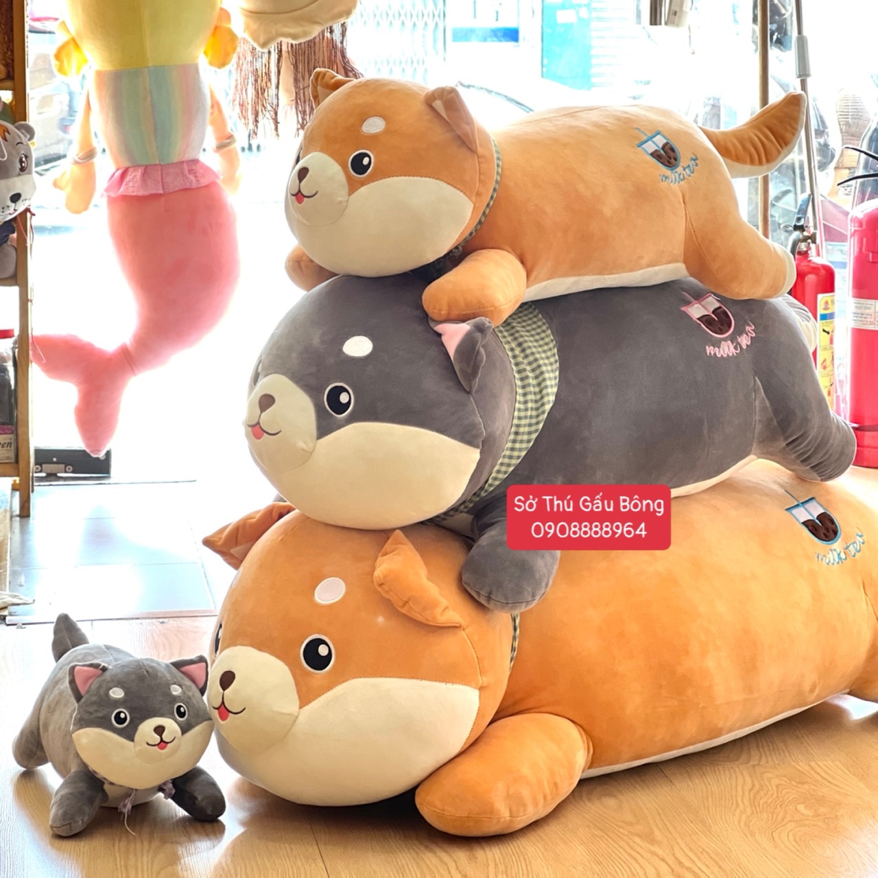Chó Bông Shiba Nằm Bụng Milk Tea