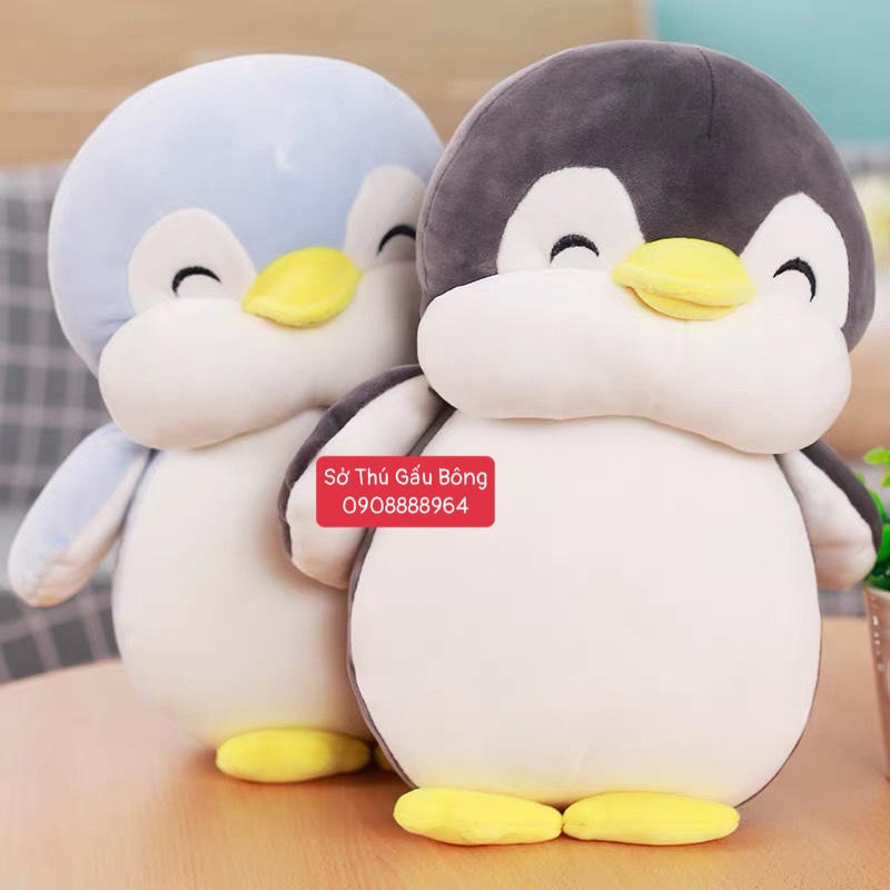 Chim Cánh Cụt Má Phính