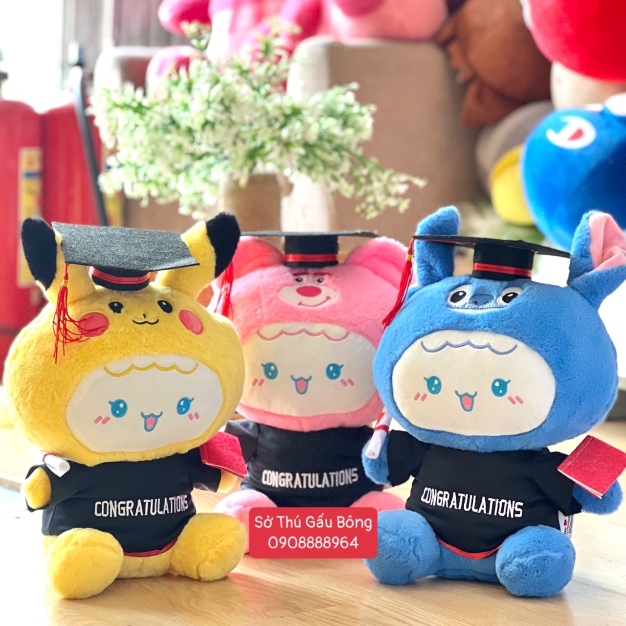 Gấu Tốt Nghiệp - Mèo Nơ Cosplay