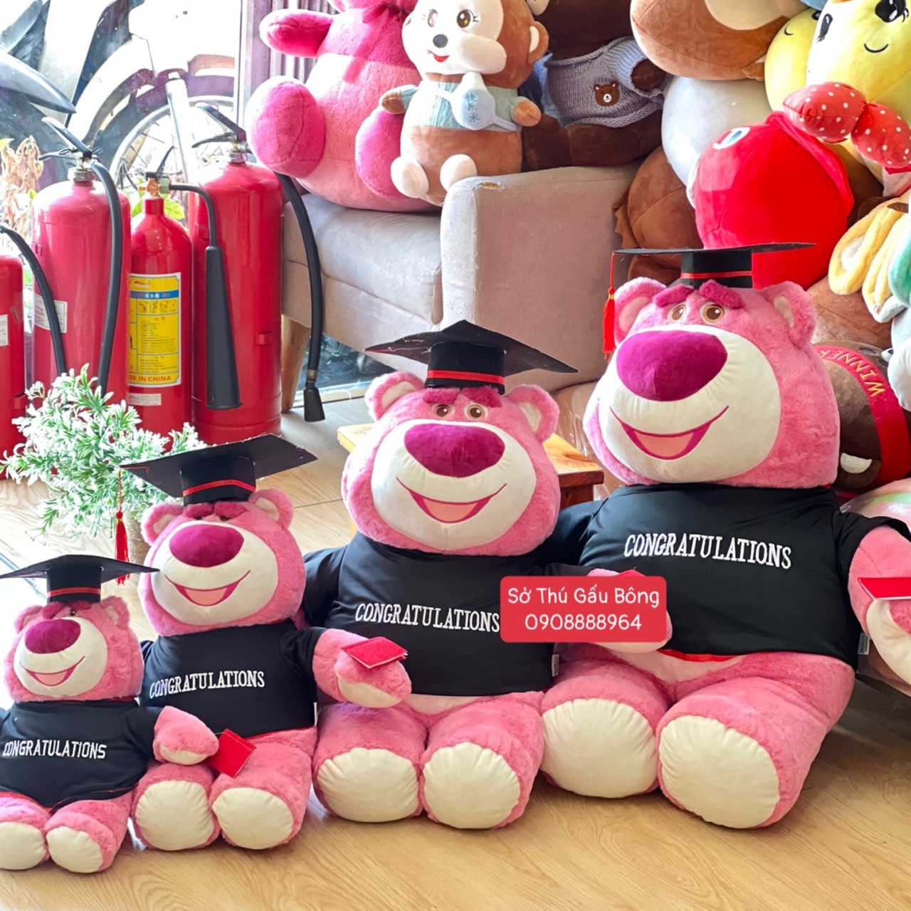 Gấu Tốt Nghiệp - Lotso Đứng Ôm Dâu