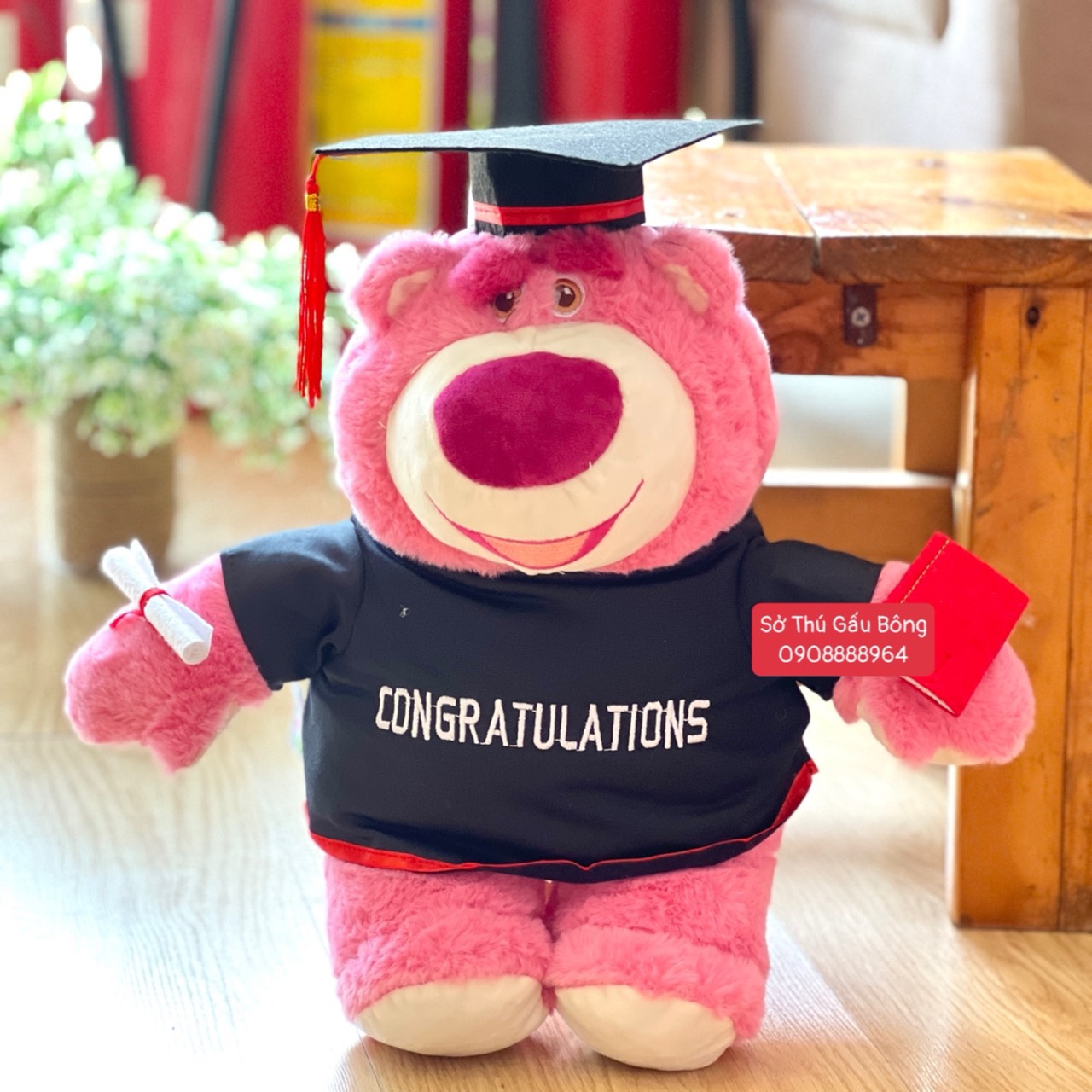 Gấu Tốt Nghiệp - Lotso Đứng Ôm Dâu