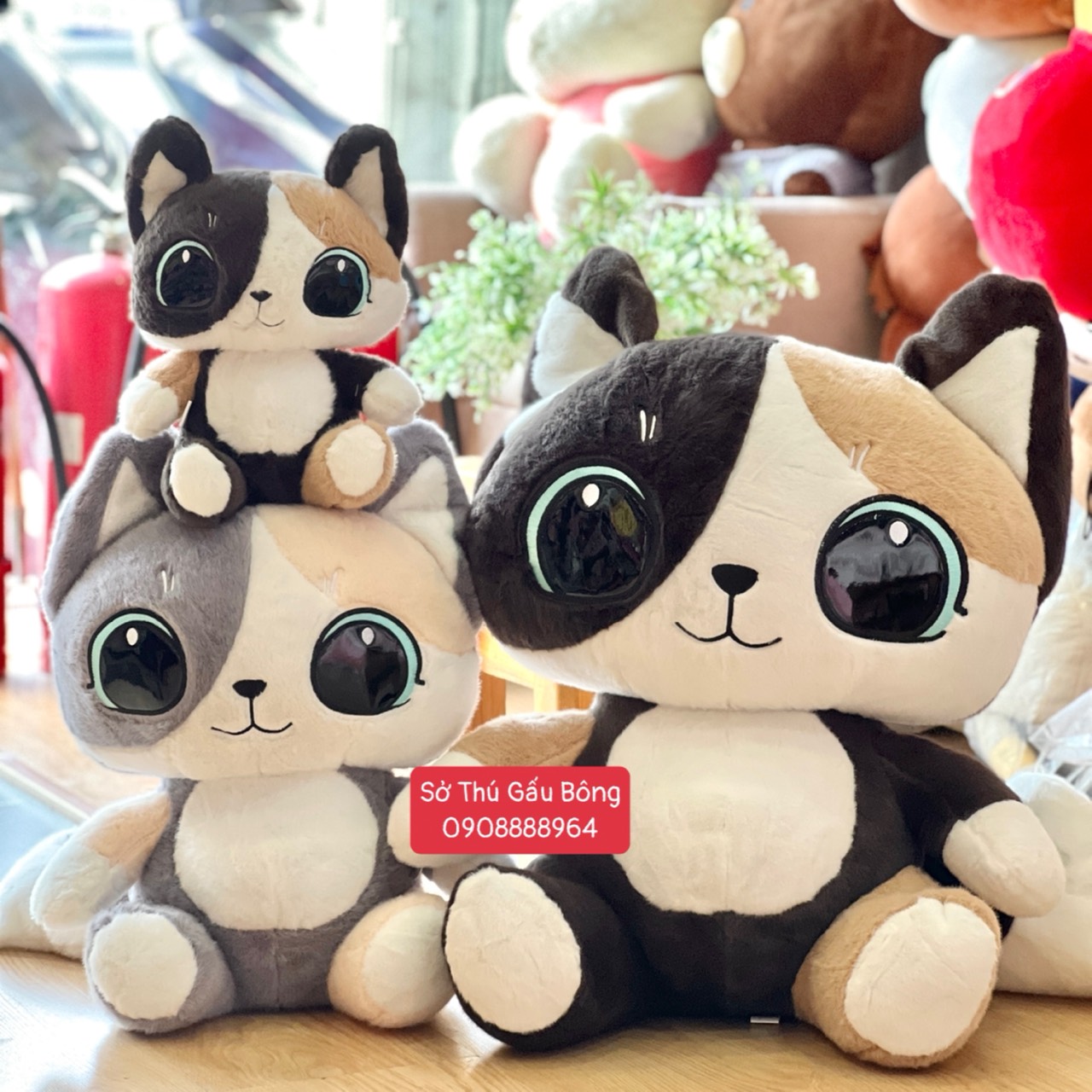 Mèo Bông Mắt To Pha Màu