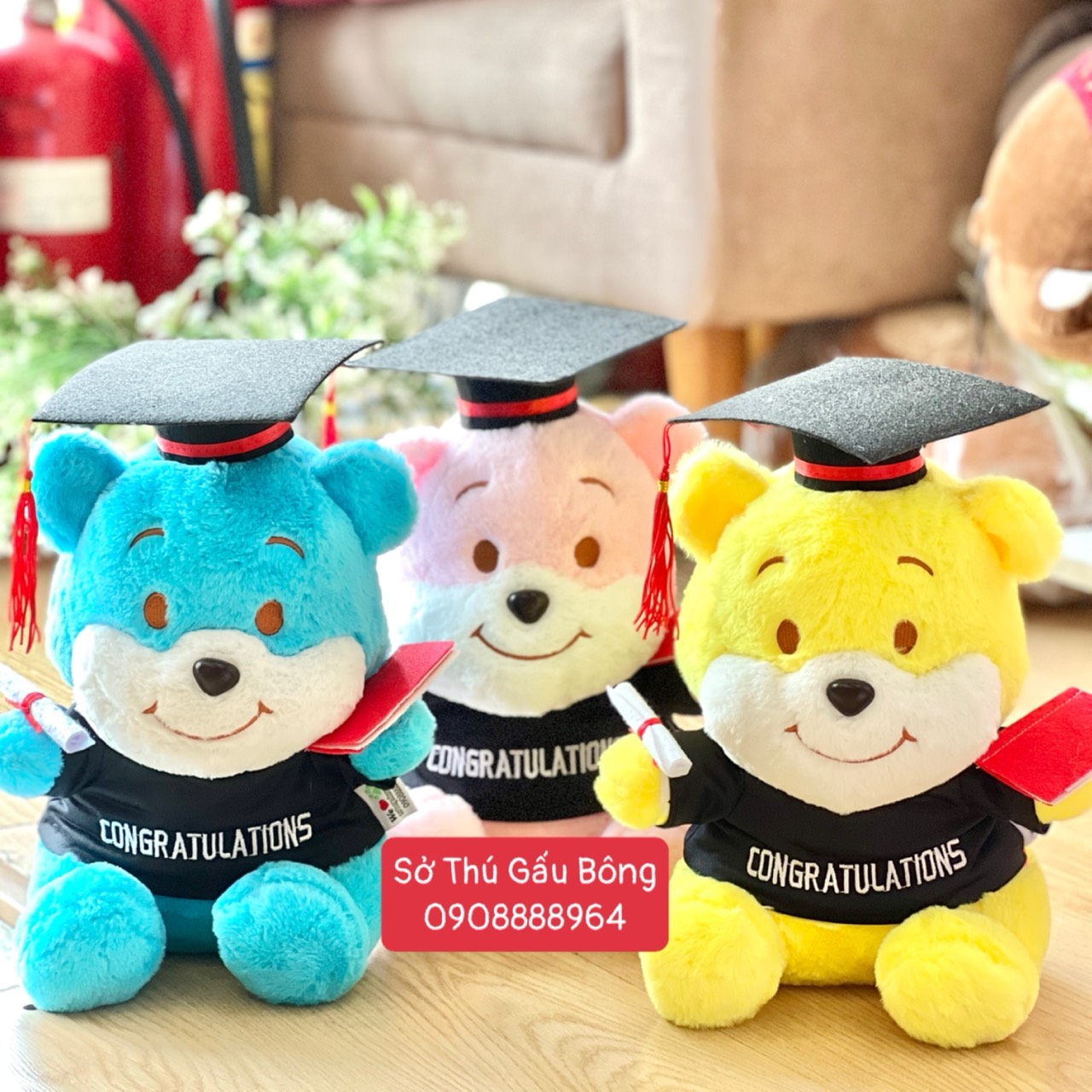 Gấu Tốt Nghiệp - Gấu Ngồi 3 Màu