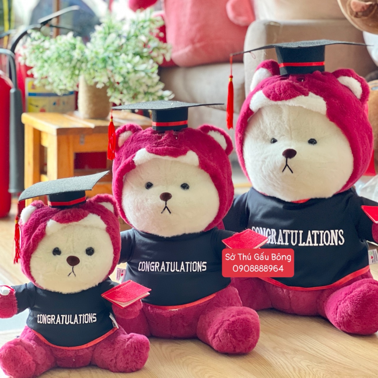 Gấu Tốt Nghiệp - Gấu Lena Cosplay Lotso