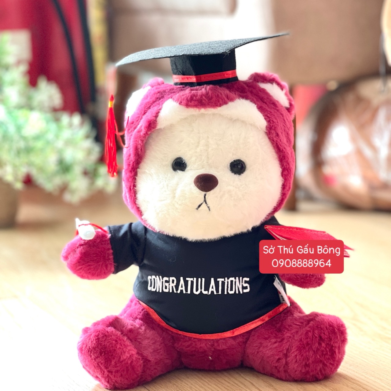Gấu Tốt Nghiệp - Gấu Lena Cosplay Lotso