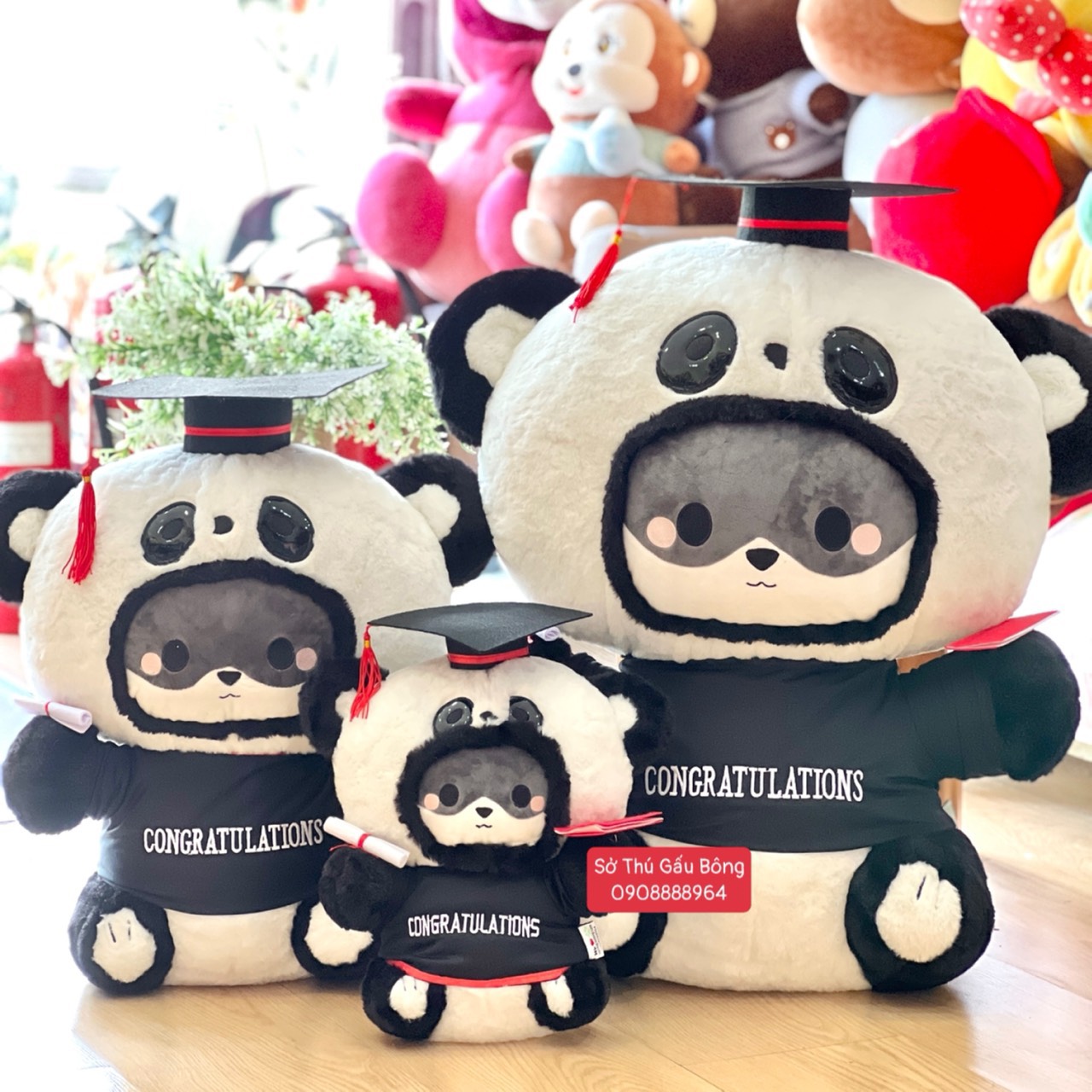 Gấu Tốt Nghiệp - TonTon Gấu Trúc