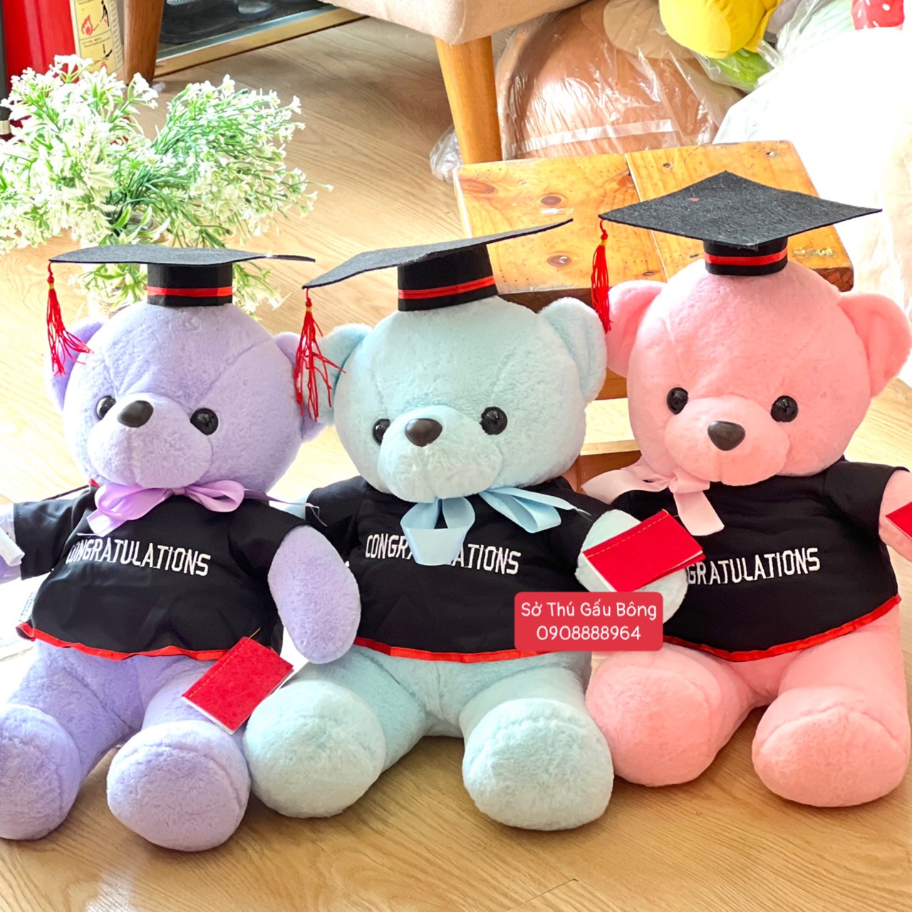 Gấu Tốt Nghiệp - Gấu Nơ Pastel