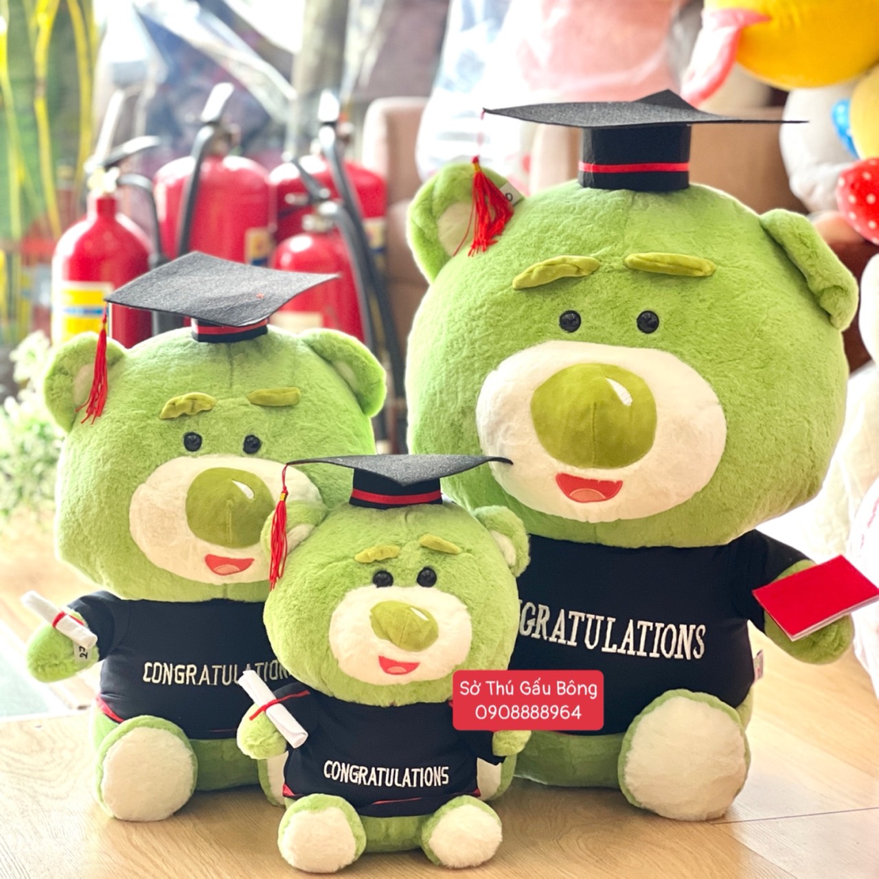 Gấu Tốt Nghiệp - Lotso Bơ