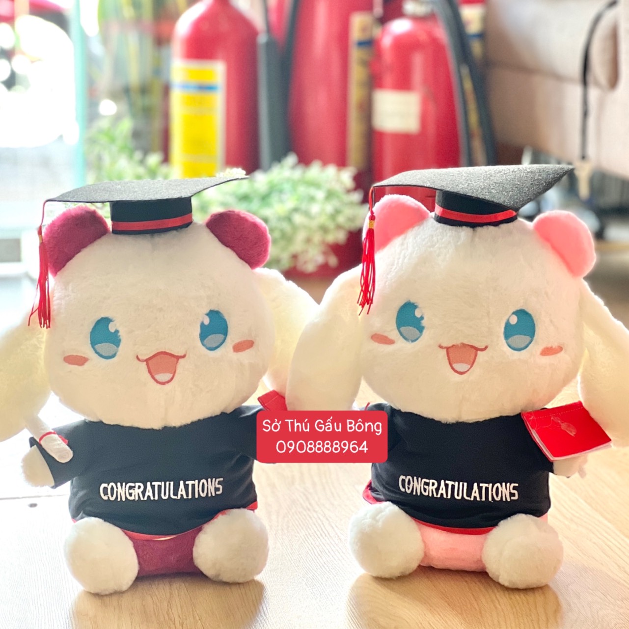 Gấu Tốt Nghiệp - Thỏ Cinna Yếm Lotso