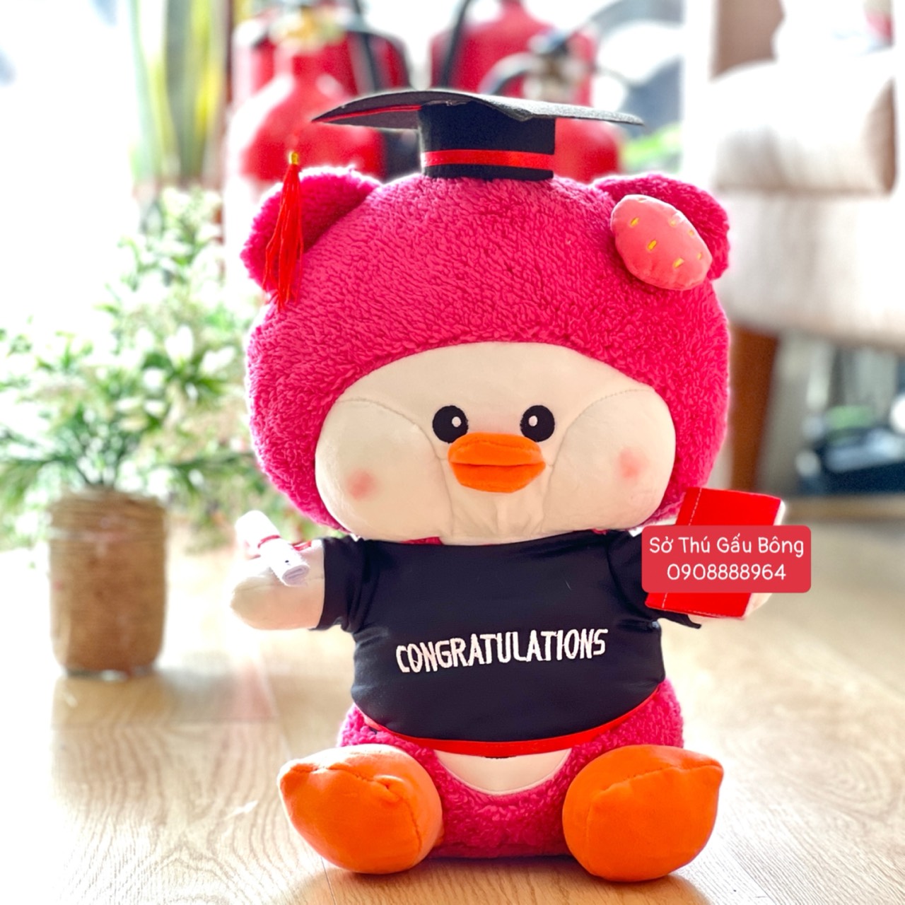 Gấu Tốt Nghiệp - Vịt Cosplay Lotso