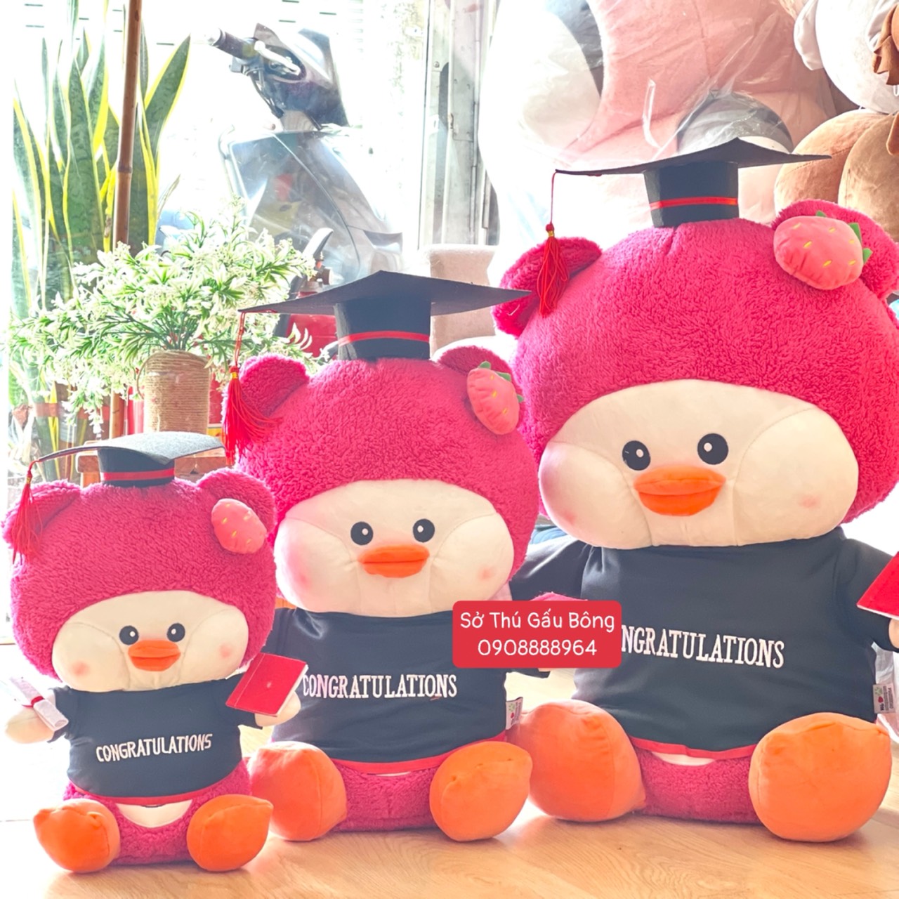 Gấu Tốt Nghiệp - Vịt Cosplay Lotso