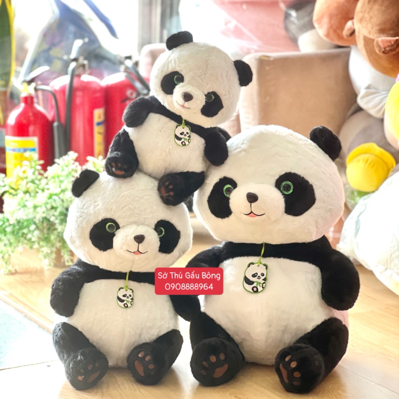 Gấu Trúc Dây Chuyền