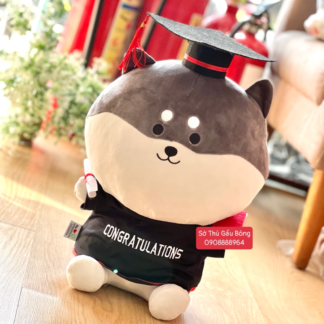 Gấu Tốt Nghiệp - Chó Shiba Túi Hoa