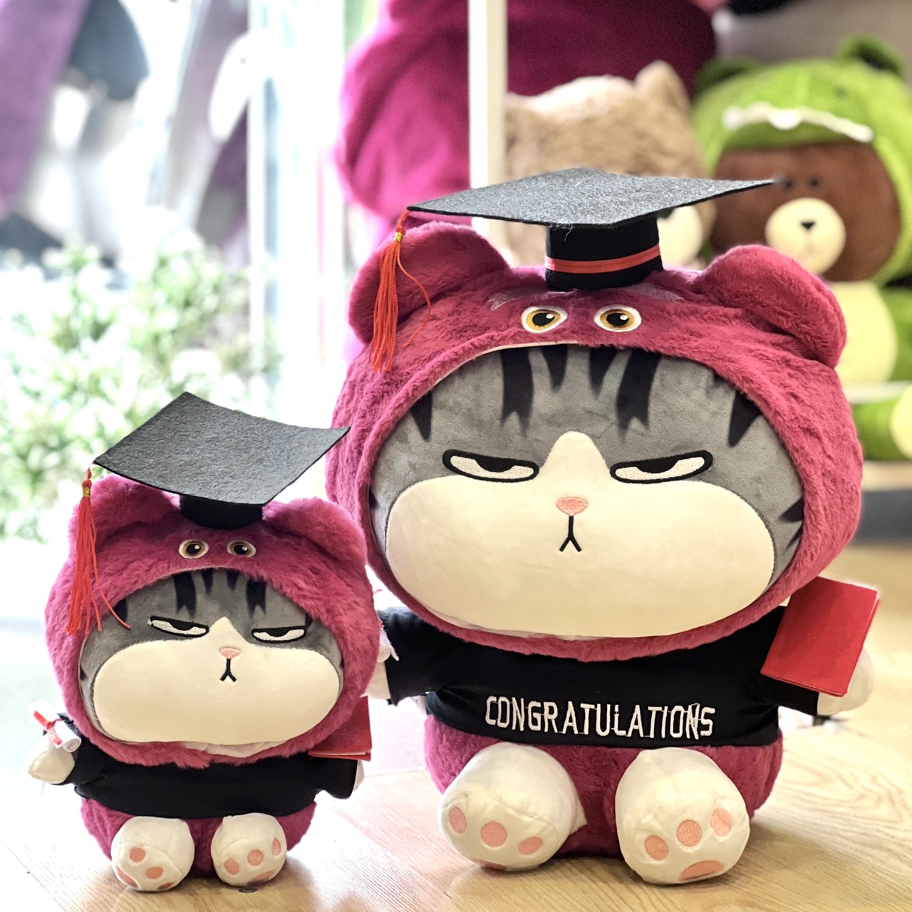 Gấu Tốt Nghiệp - Mèo Hoàng Thượng Lotso