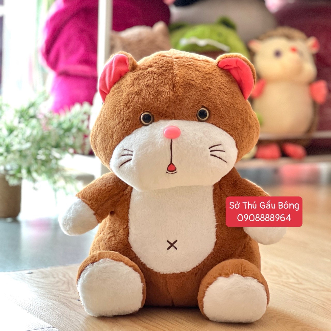 Mèo Bông Miệng Giọt Nước