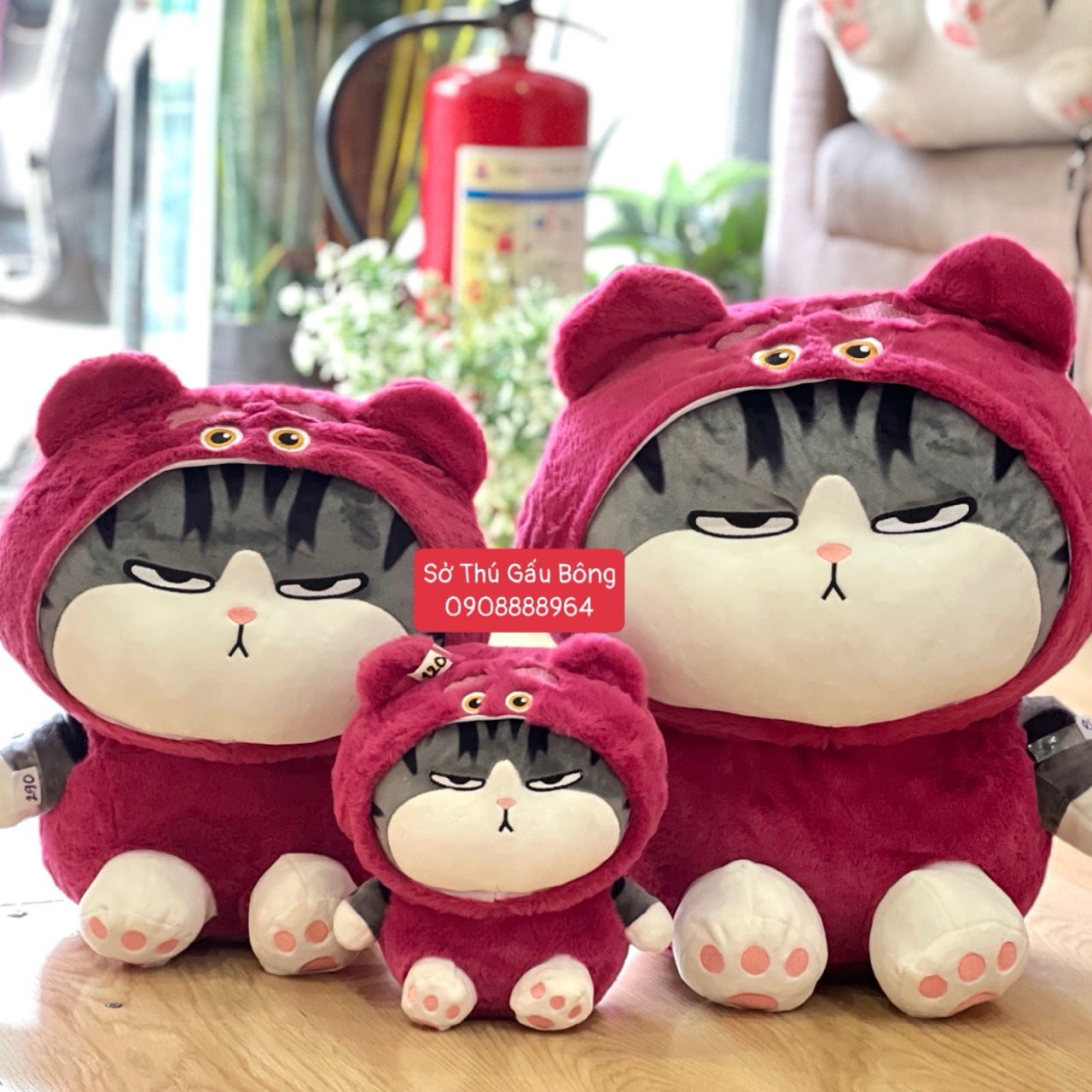 Mèo Hoàng Thượng Cosplay Lotso