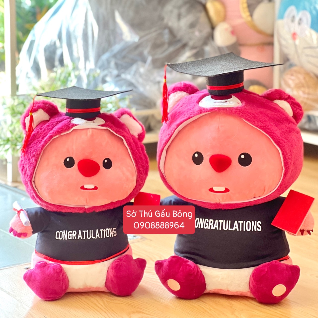 Gấu Tốt Nghiệp - Hải Ly Loopy Đội Nón Lotso
