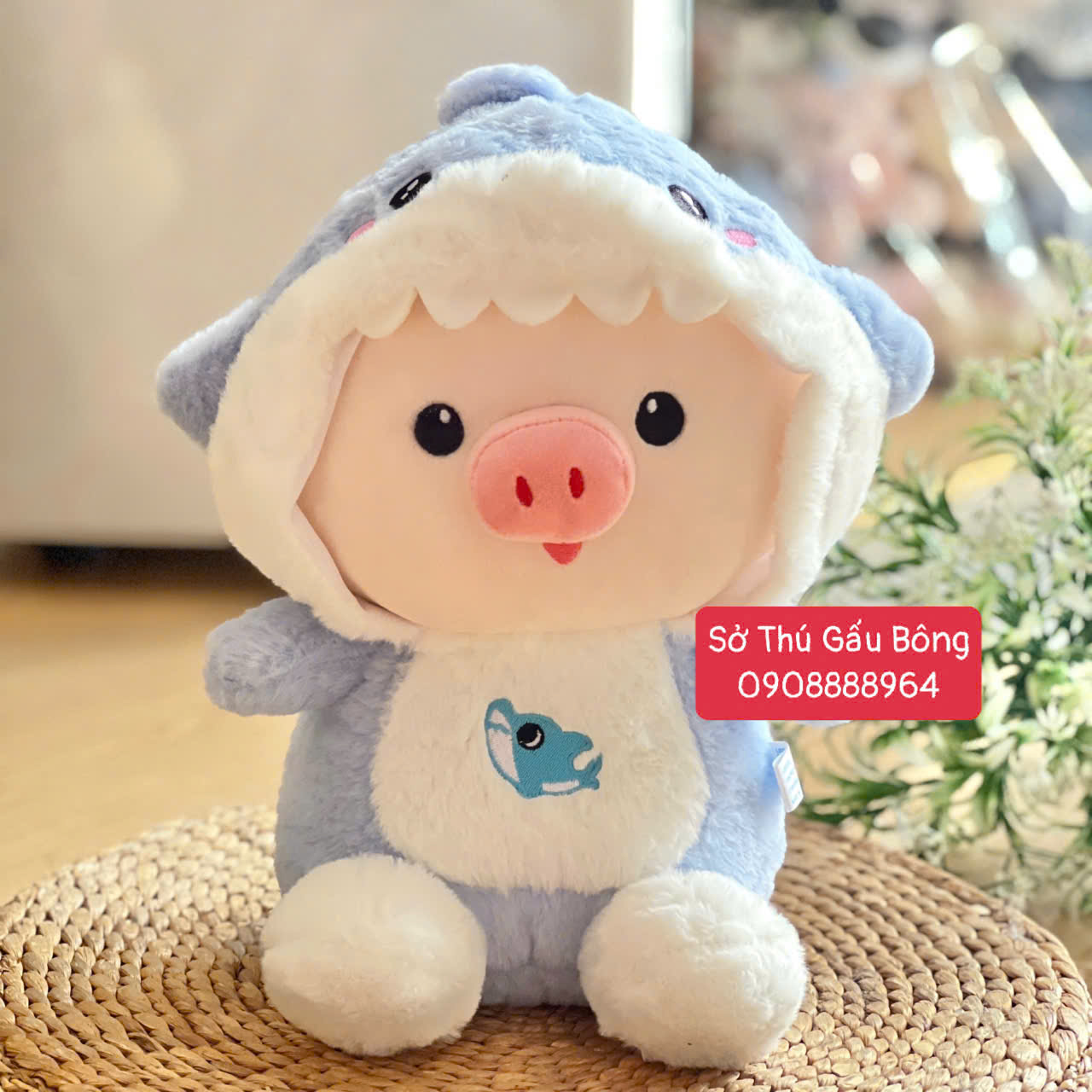 Heo Bông Cosplay Cá Mập