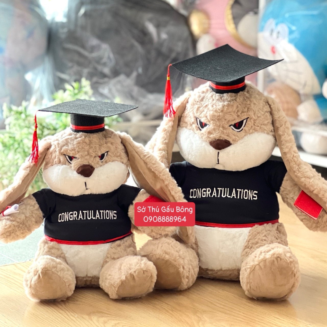 Gấu Tốt Nghiệp - Thỏ Mặt Quạo
