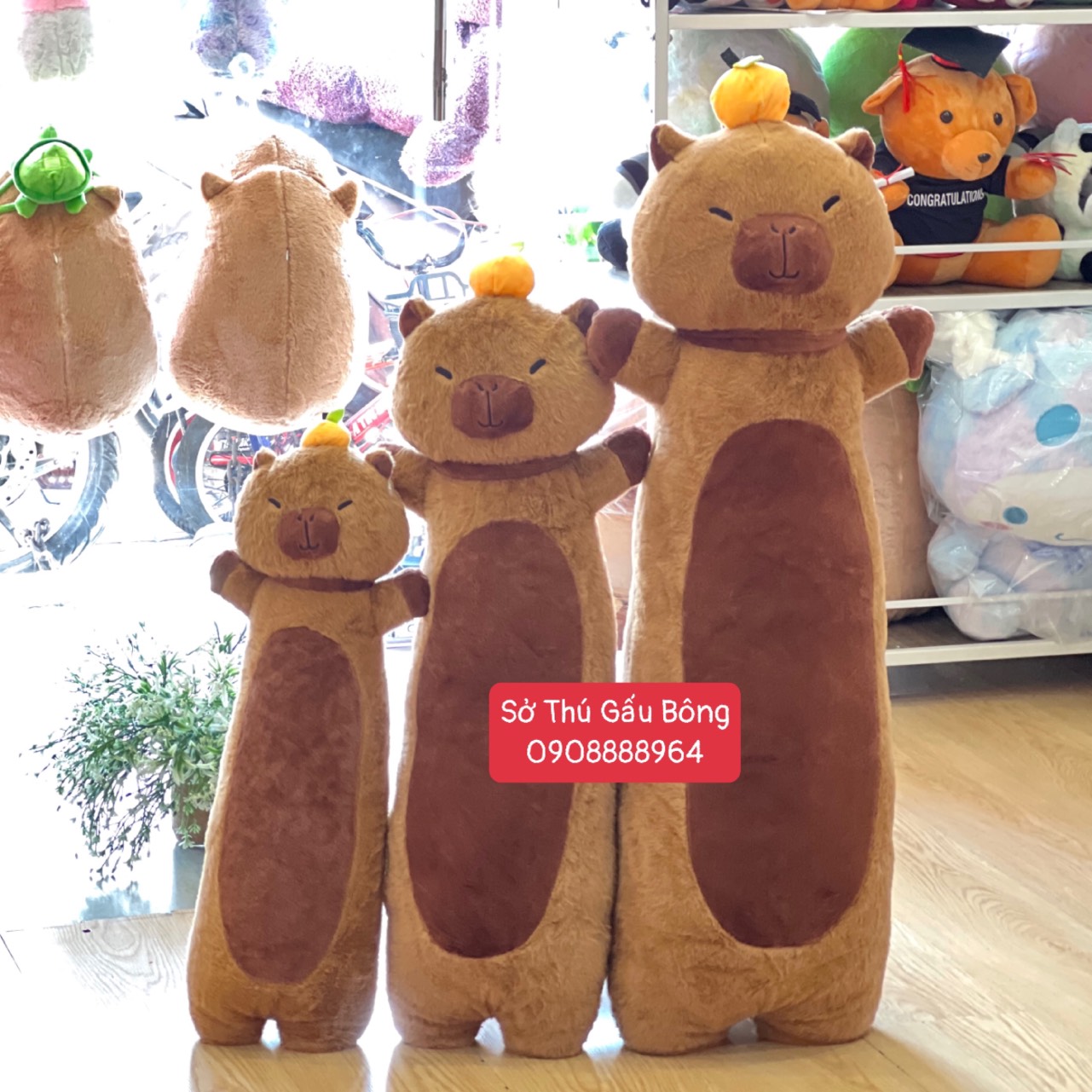 Gối Ôm Chuột Bông Capybara