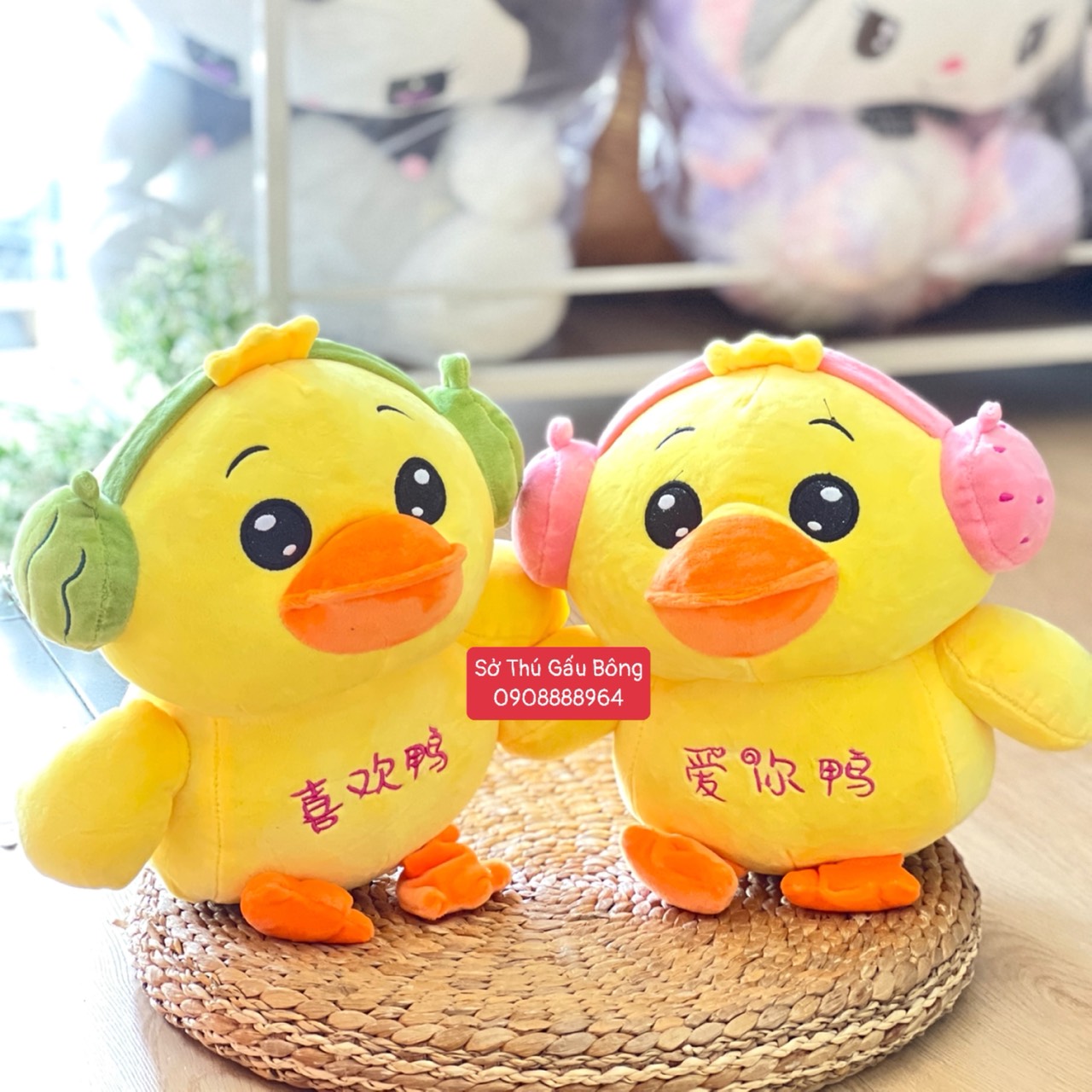 Vịt Bông Tai Nghe