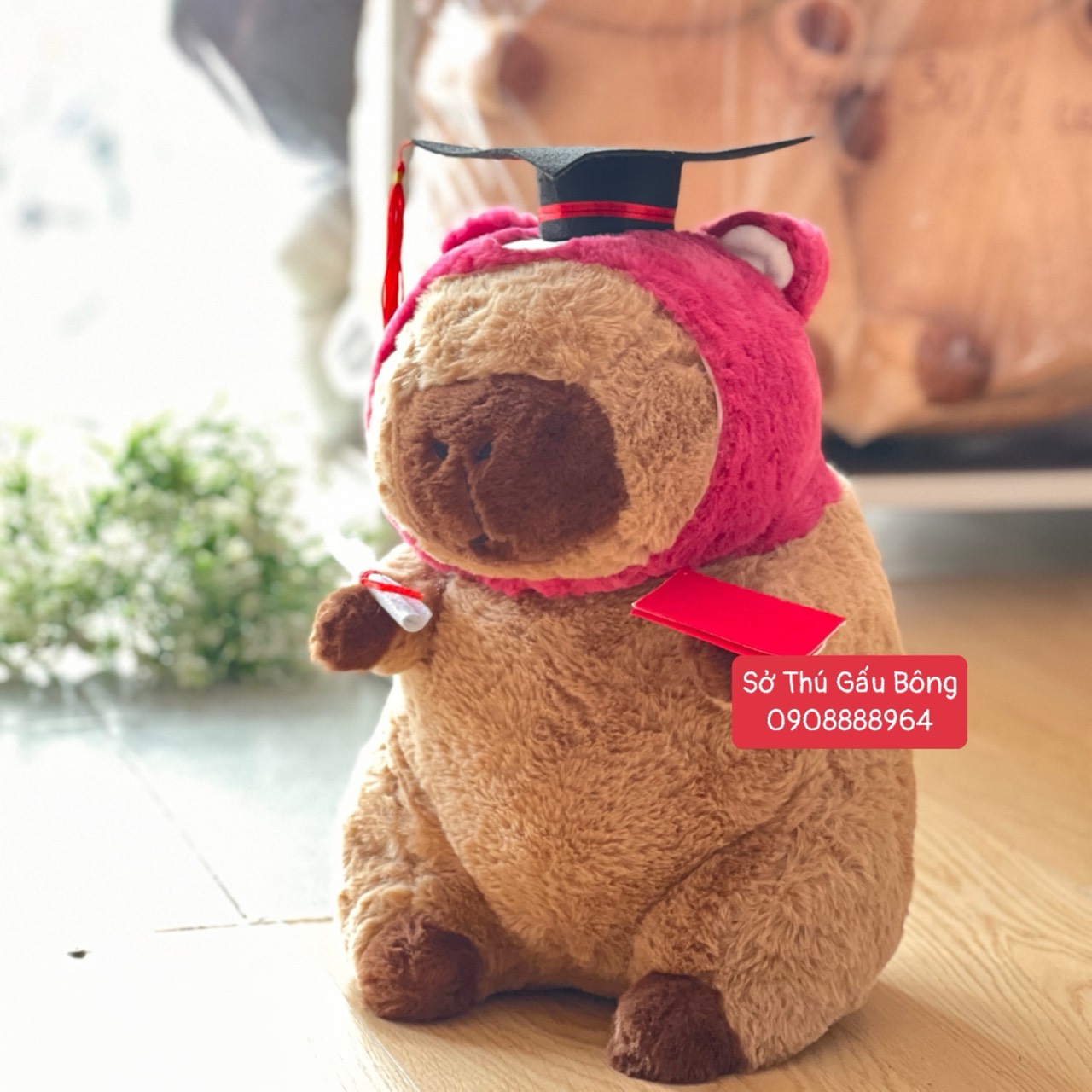 Gấu Tốt Nghiệp - Chuột Capybara Lotso K Áo