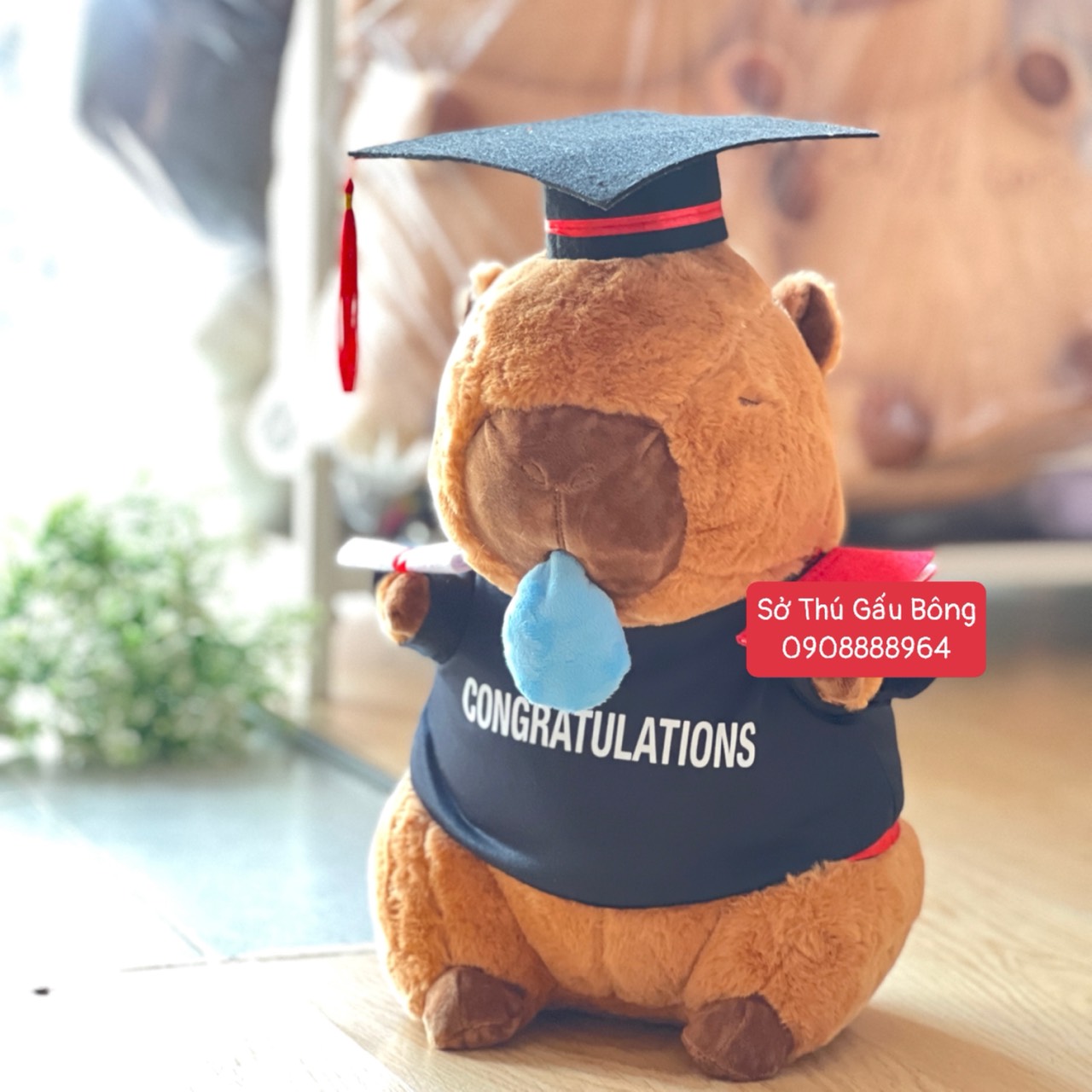 Gấu Tốt Nghiệp - Chuột Capybara Rút Mũi Nâu