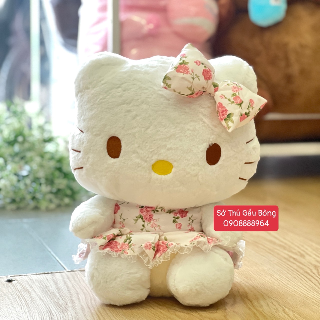 Mèo Kitty Đầm Nơ Hoa