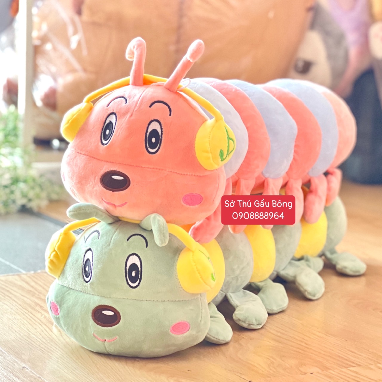 Sâu Bông Tai Nghe