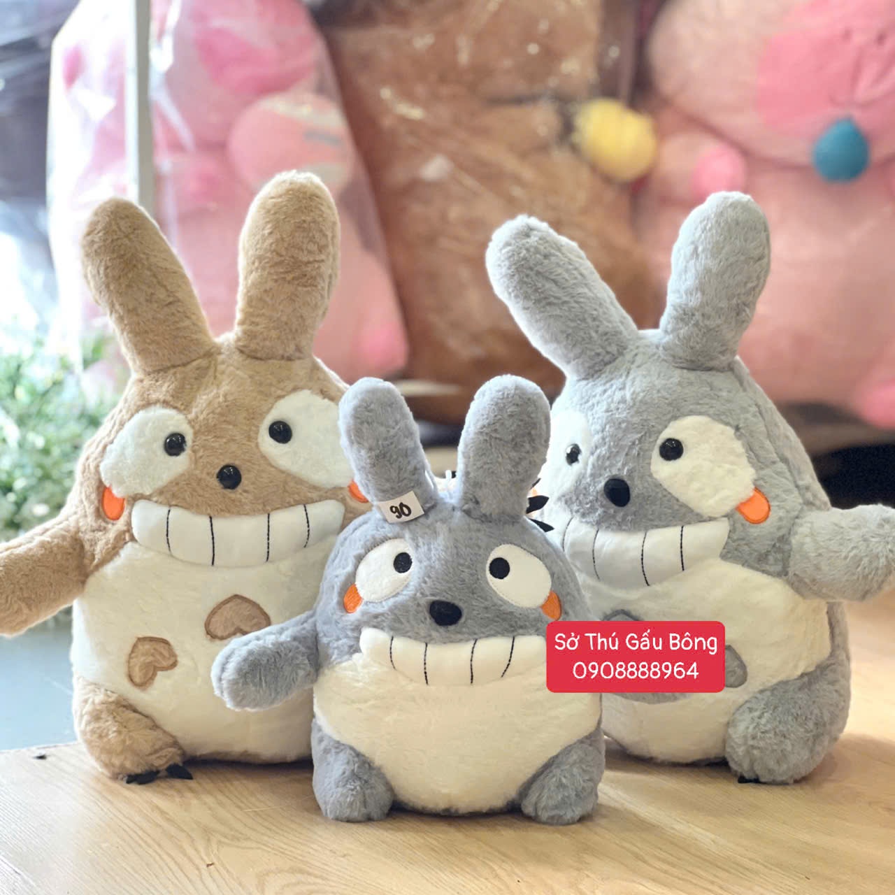 Totoro Má Cam