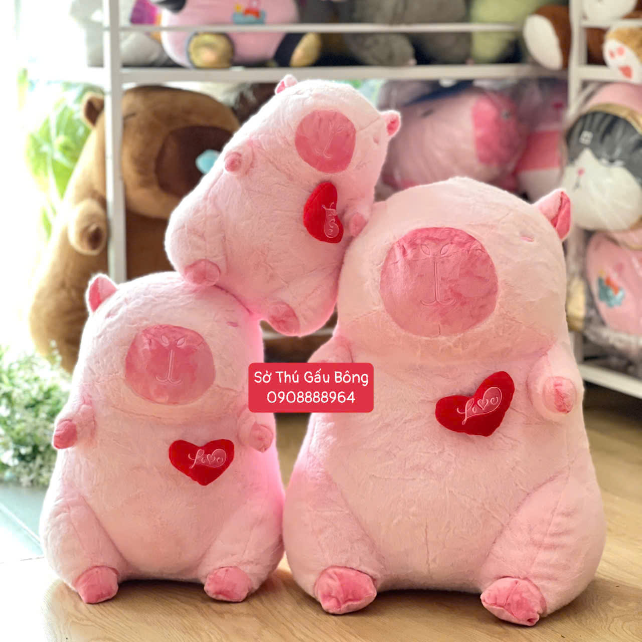Chuột Bông Capybara Rút Tim
