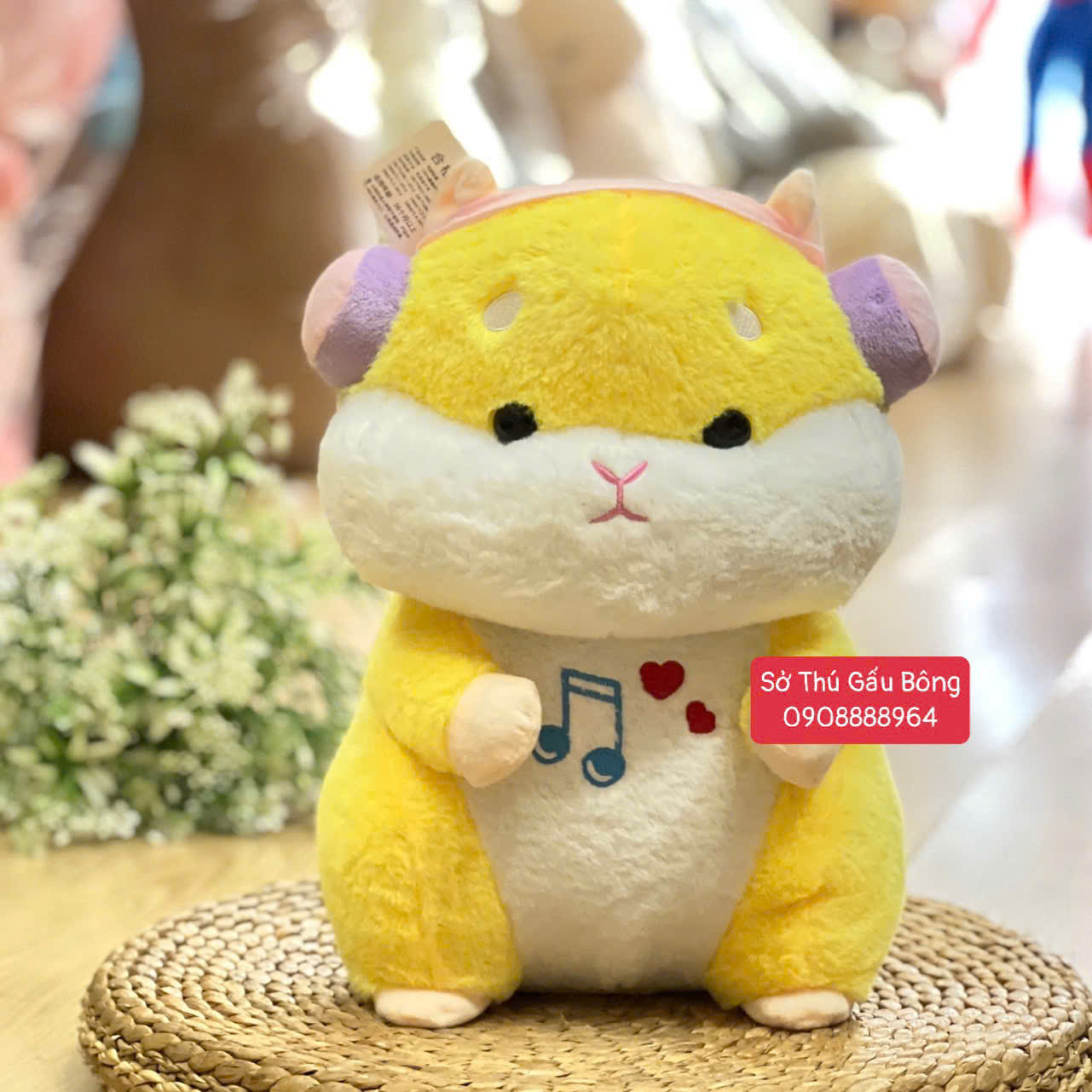 Chuột Hamster Tai Nghe