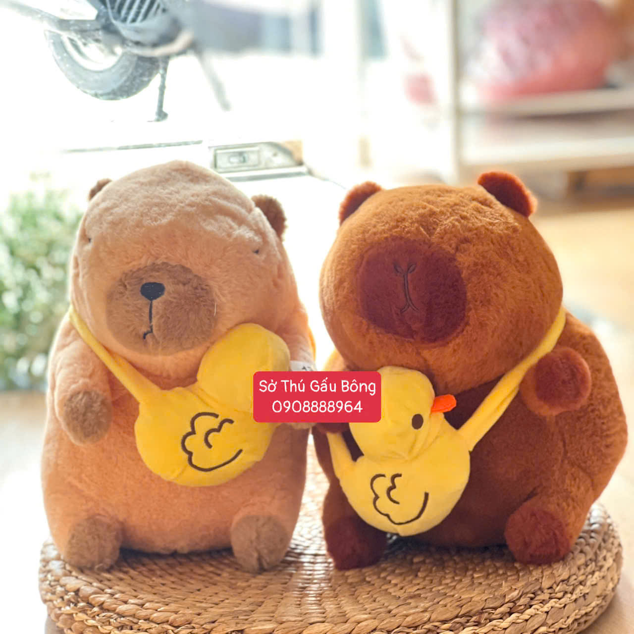Chuột Bông Capybara Túi Vịt