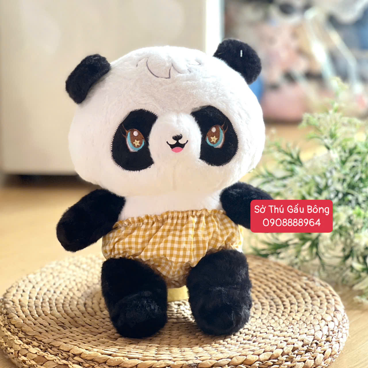 Gấu Trúc Quần Sọc