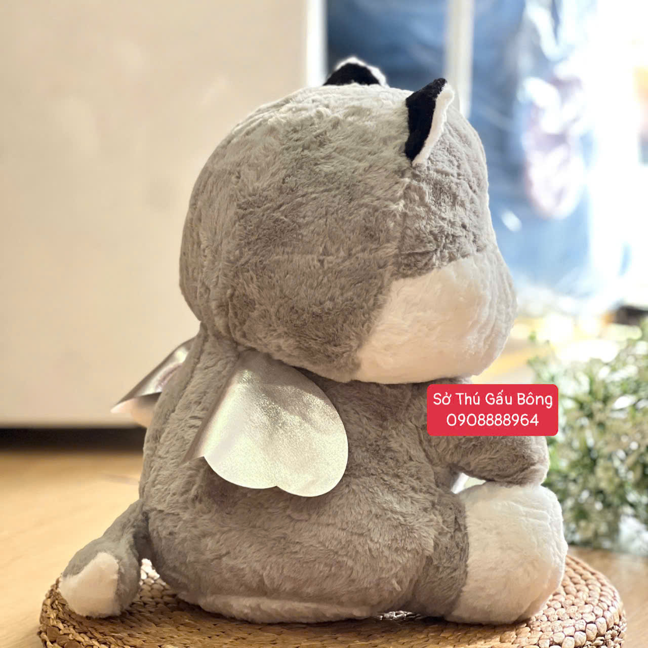 Chó Bông Canh Thiên Thần