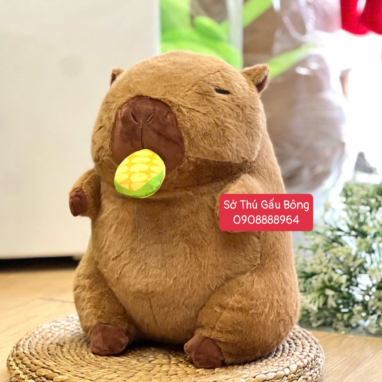 Chuột Bông Capybara Rút Bắp