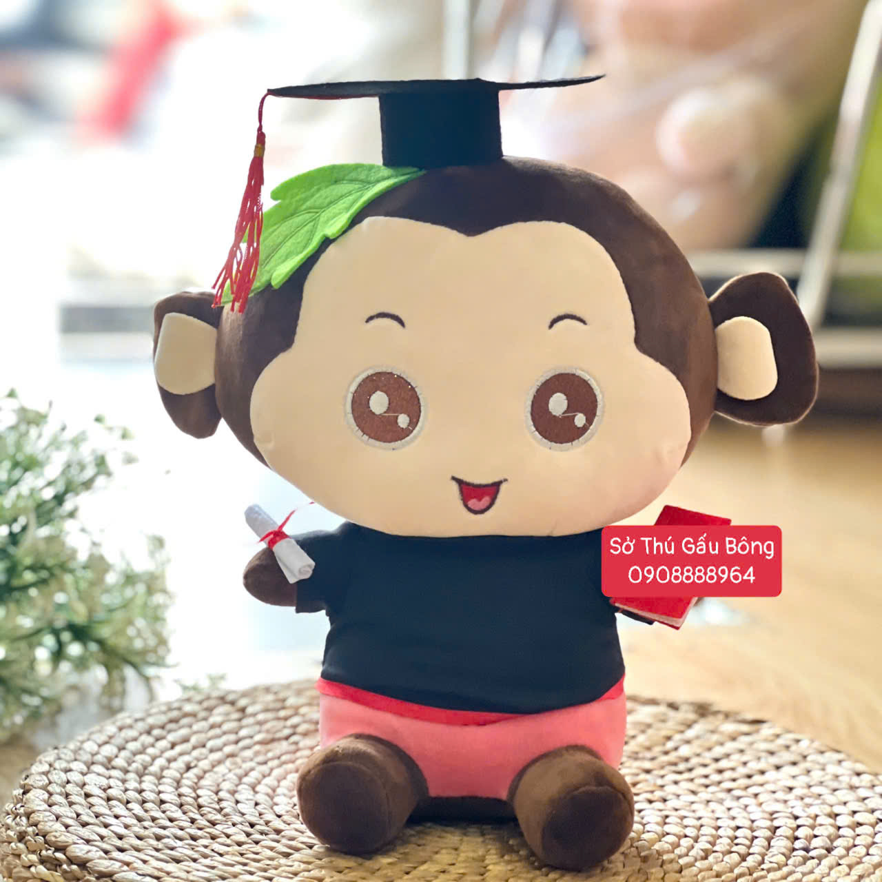 Gấu Tốt Nghiệp - Khỉ Đầu Lá