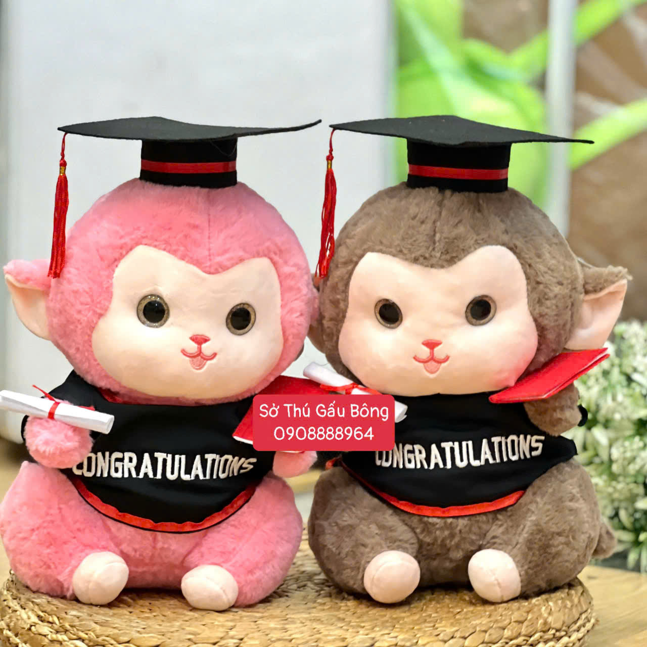 Gấu Tốt Nghiệp - Khỉ Ôm Đào