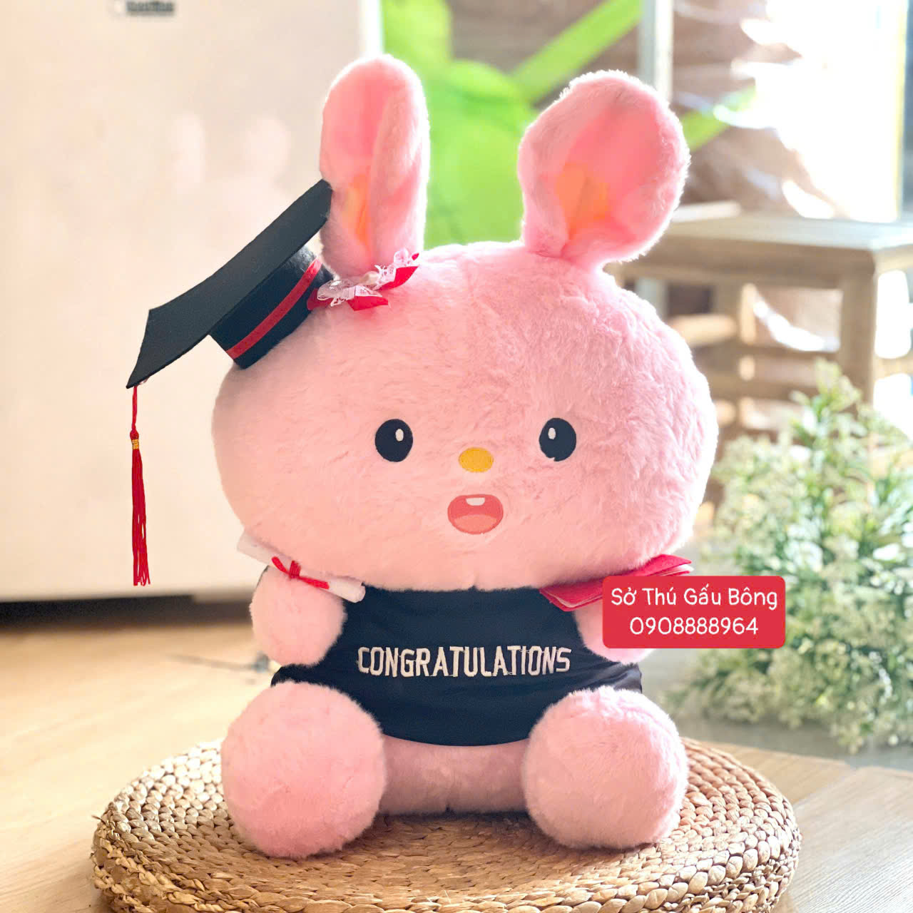 Gấu Tốt Nghiệp - Thỏ Ôm Dâu Hồng